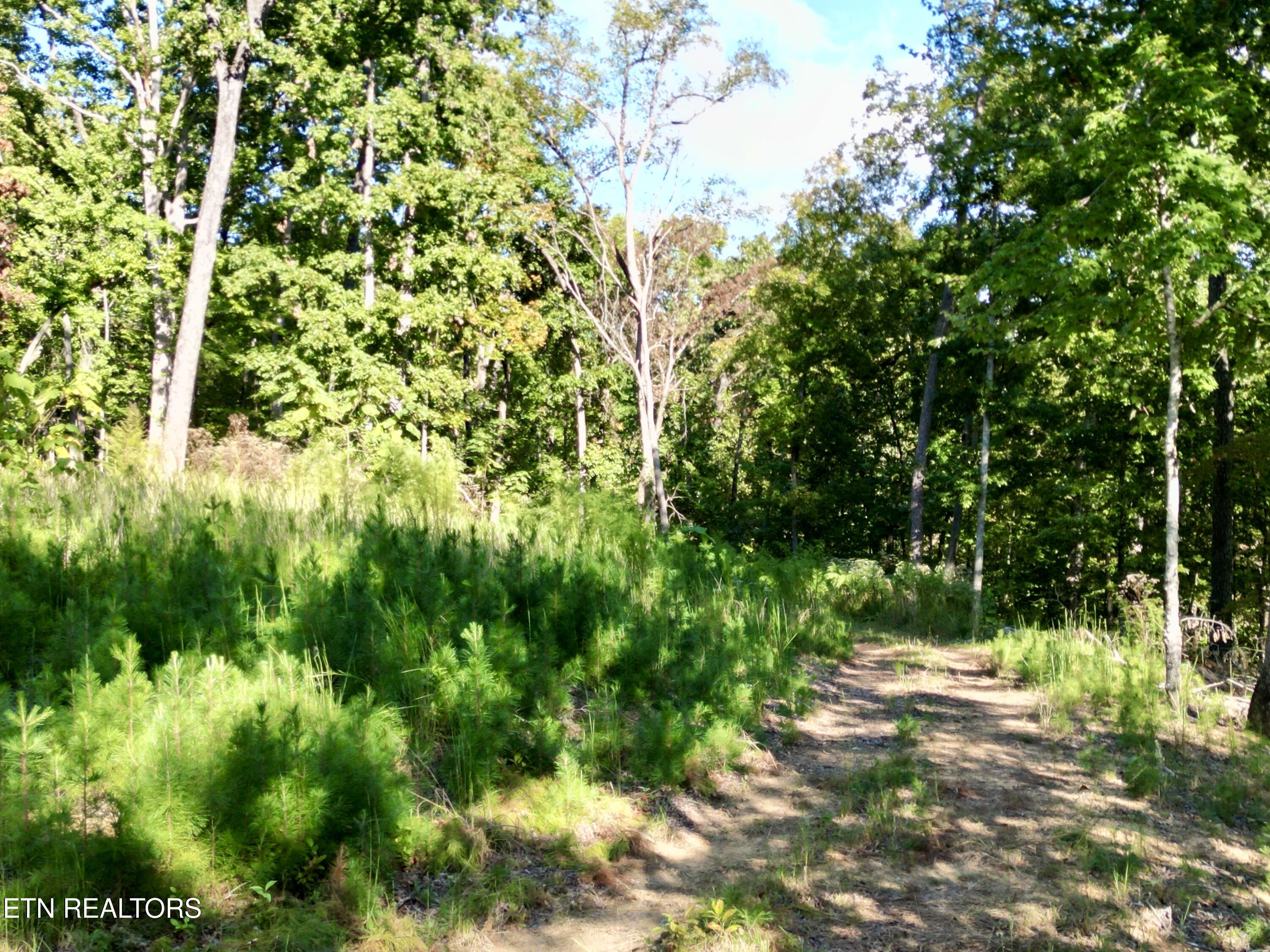 497 Thompson Rd
