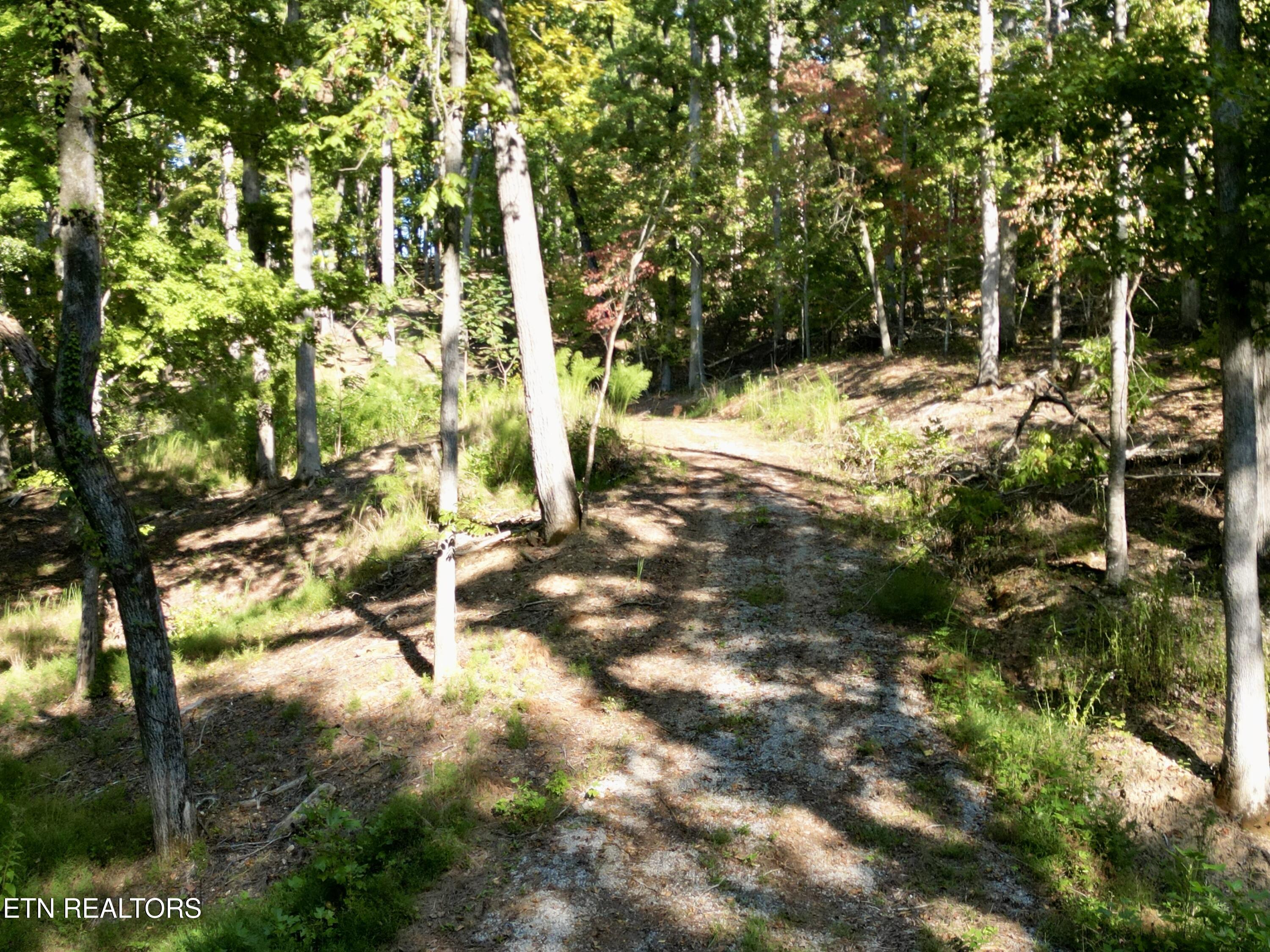 497 Thompson Rd