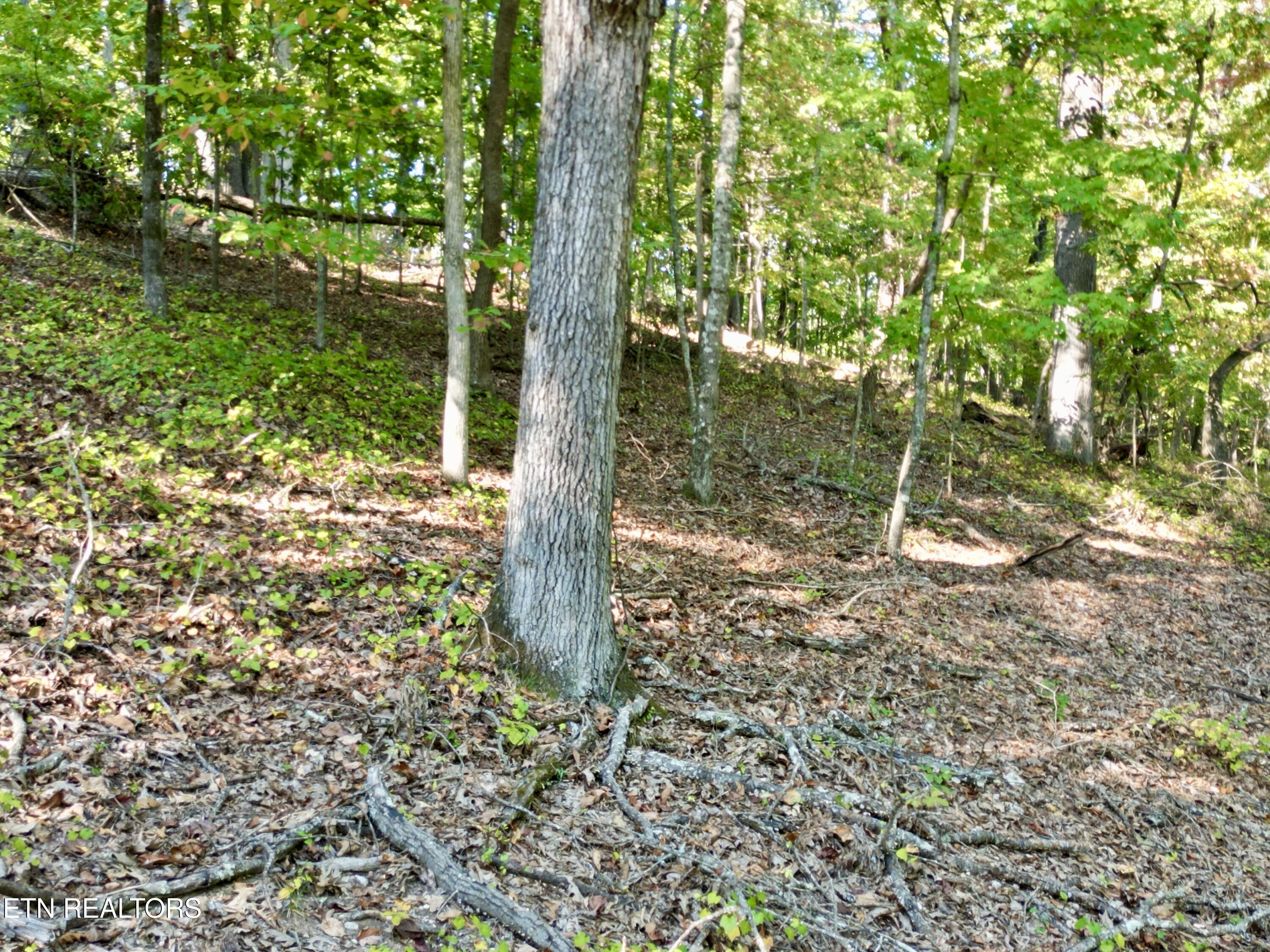 497 Thompson Rd