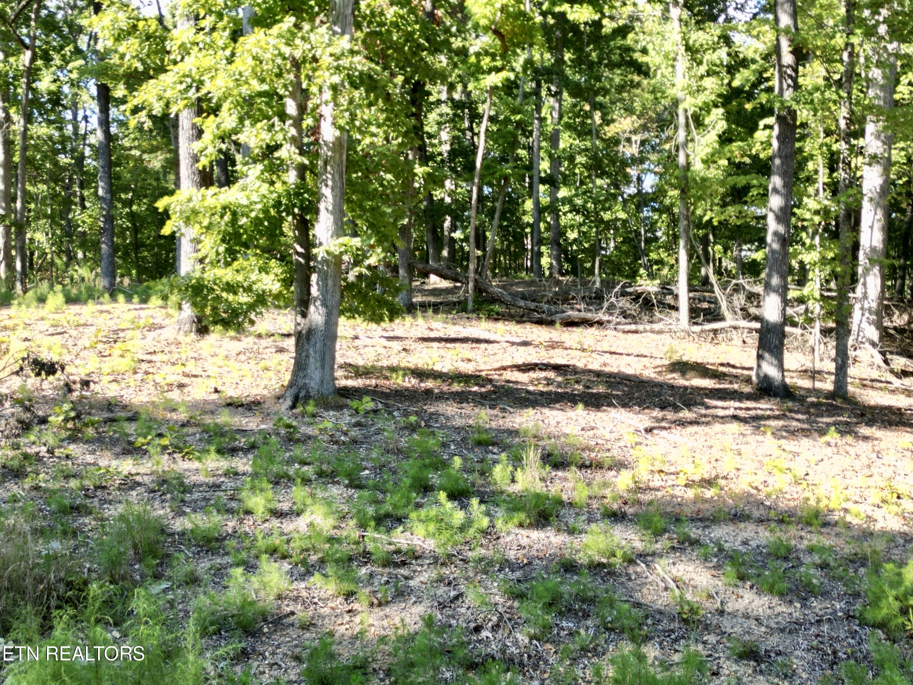 497 Thompson Rd
