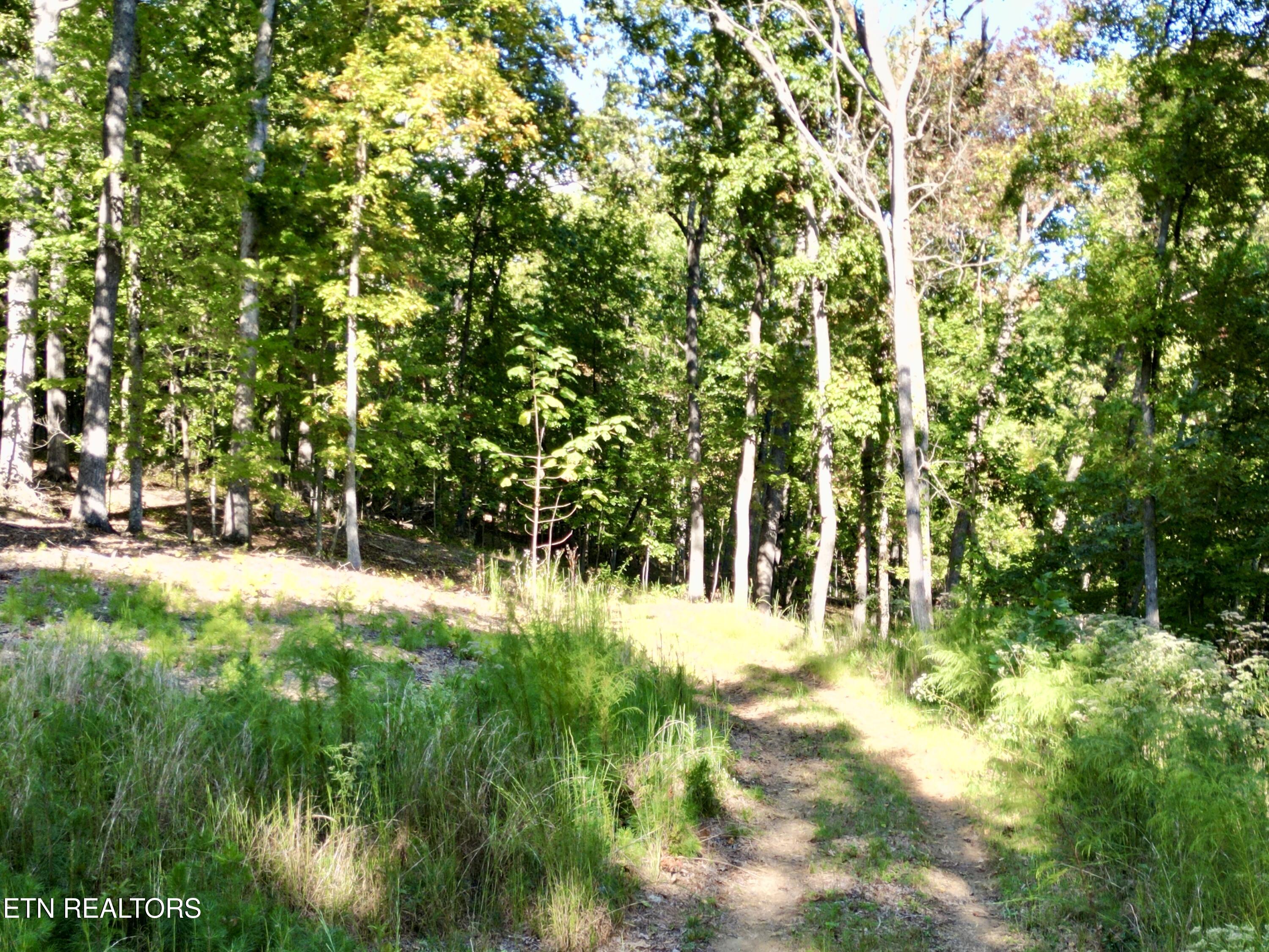 497 Thompson Rd