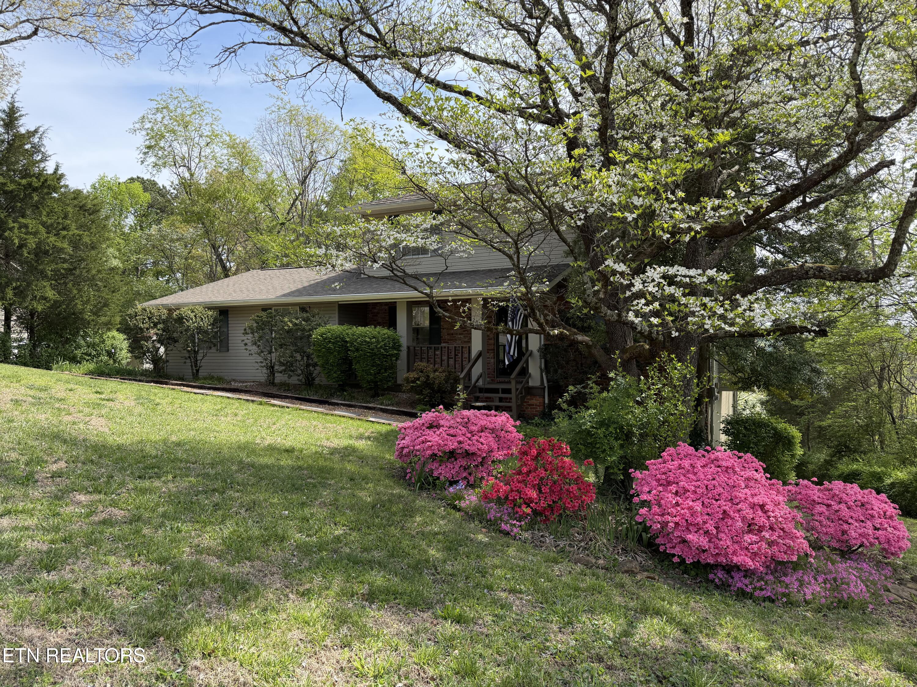 205 Vintage Lane