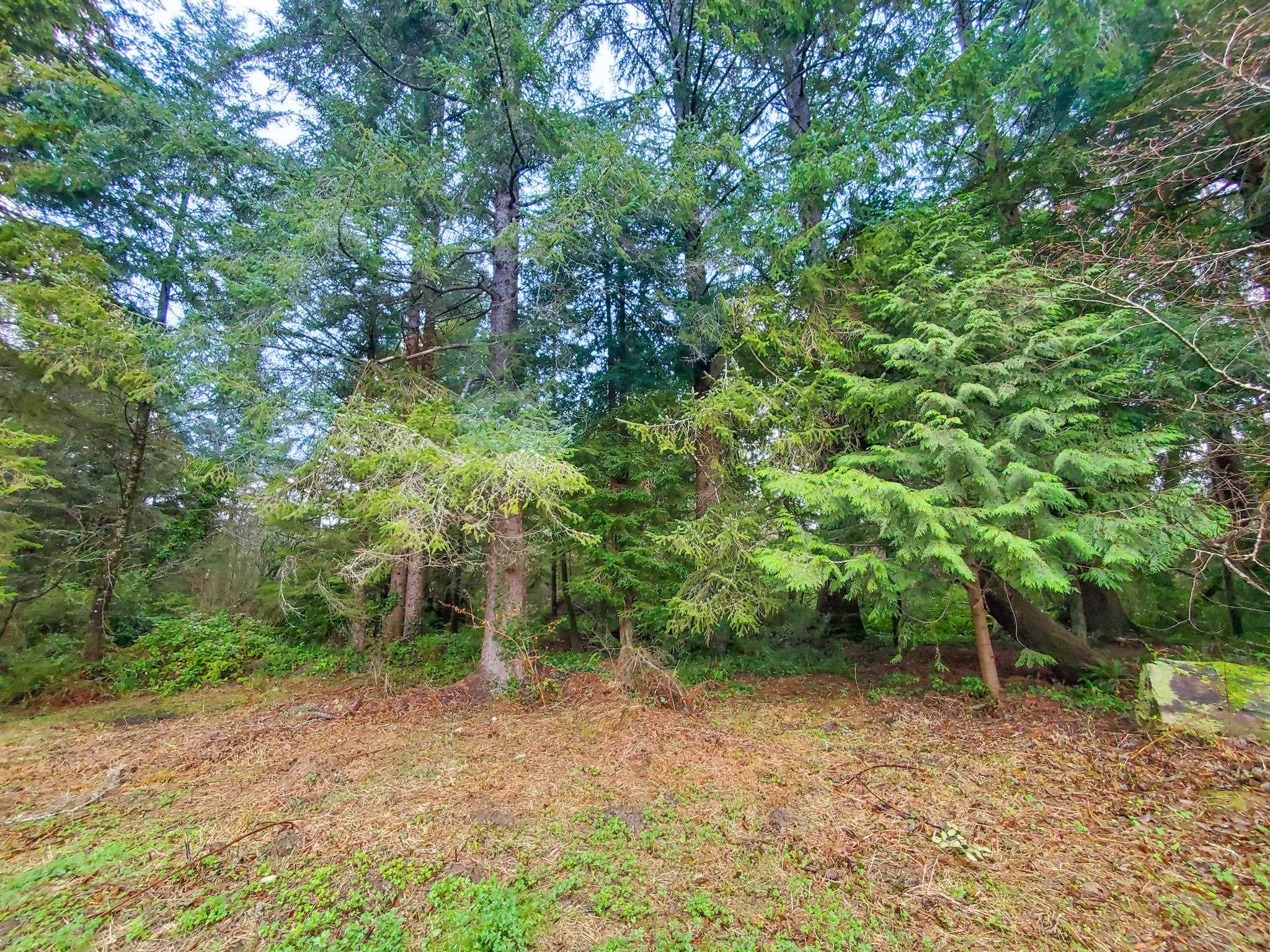 2150 Malone Road