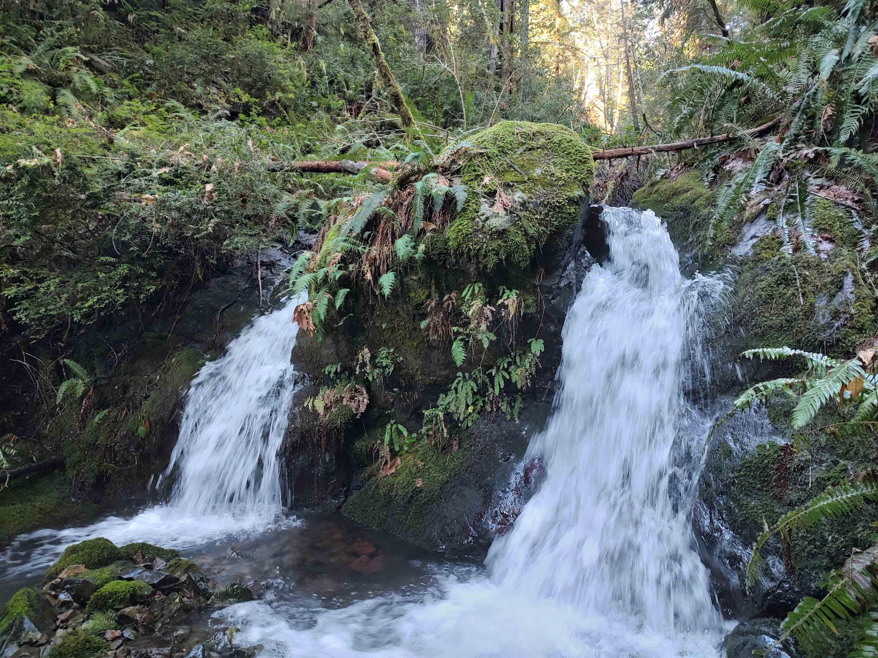 000 Feather Canyon
