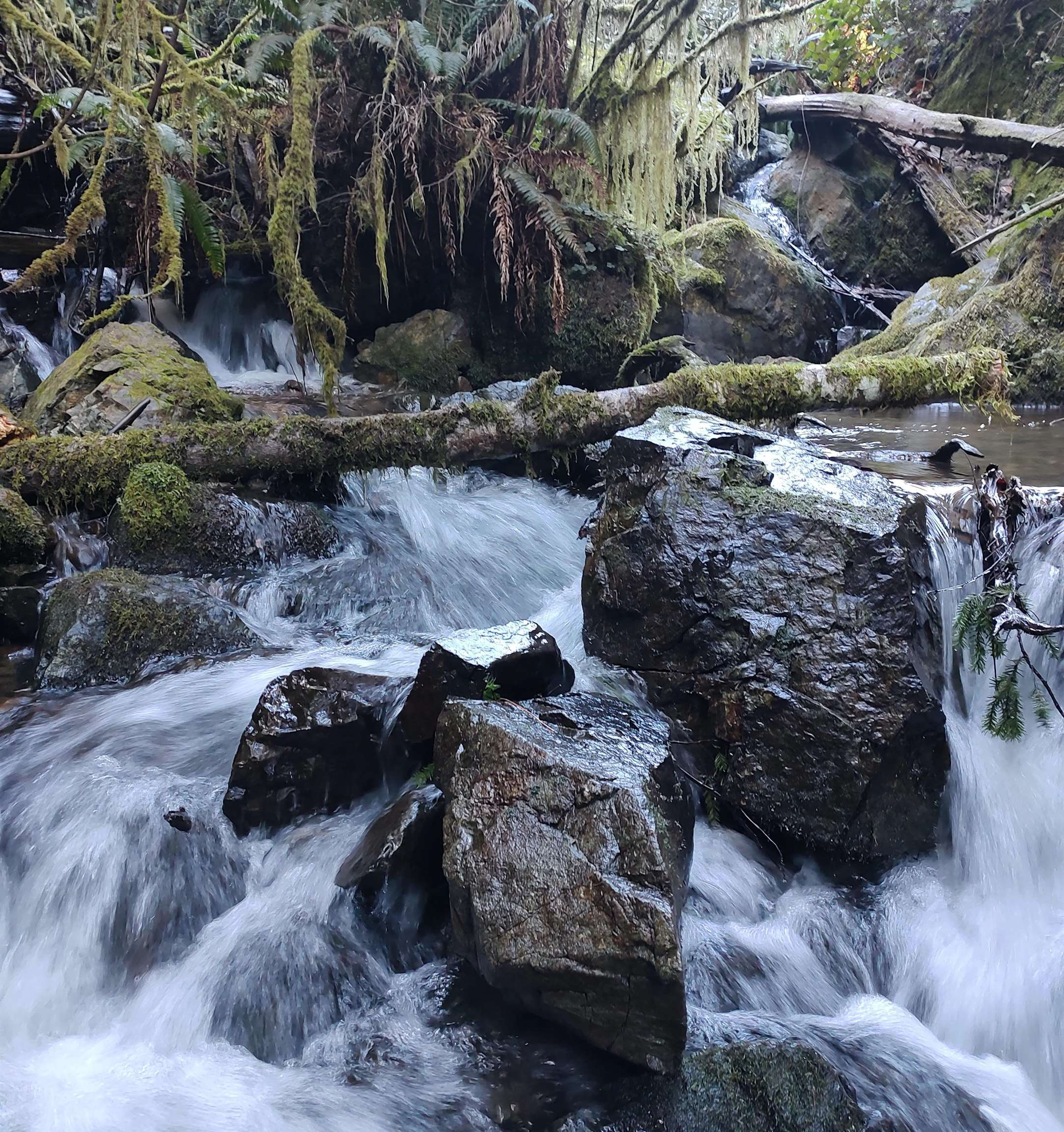 000 Feather Canyon