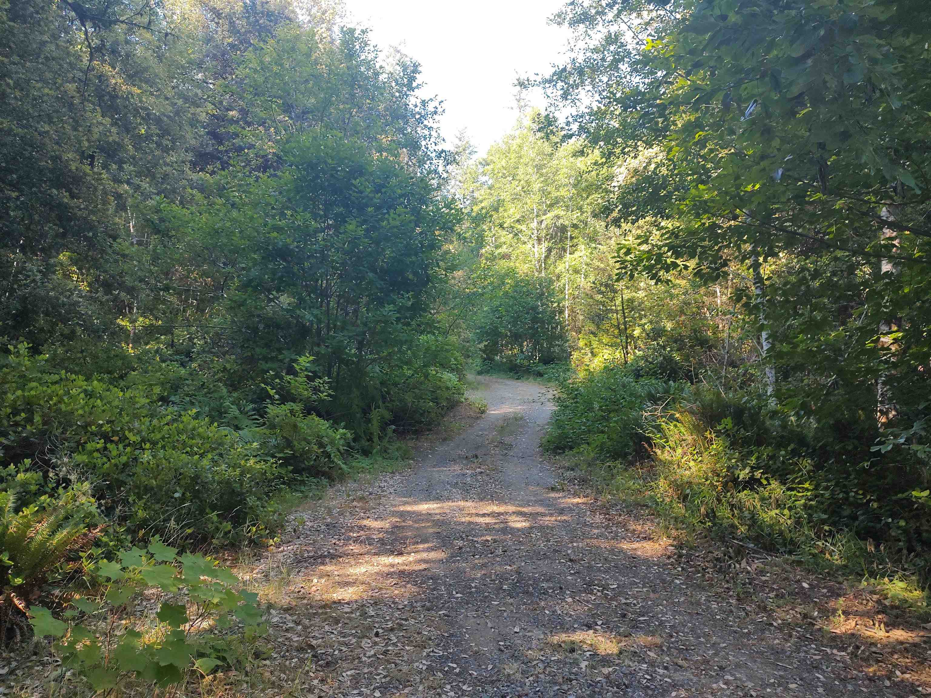 00 Low Divide Rd Road