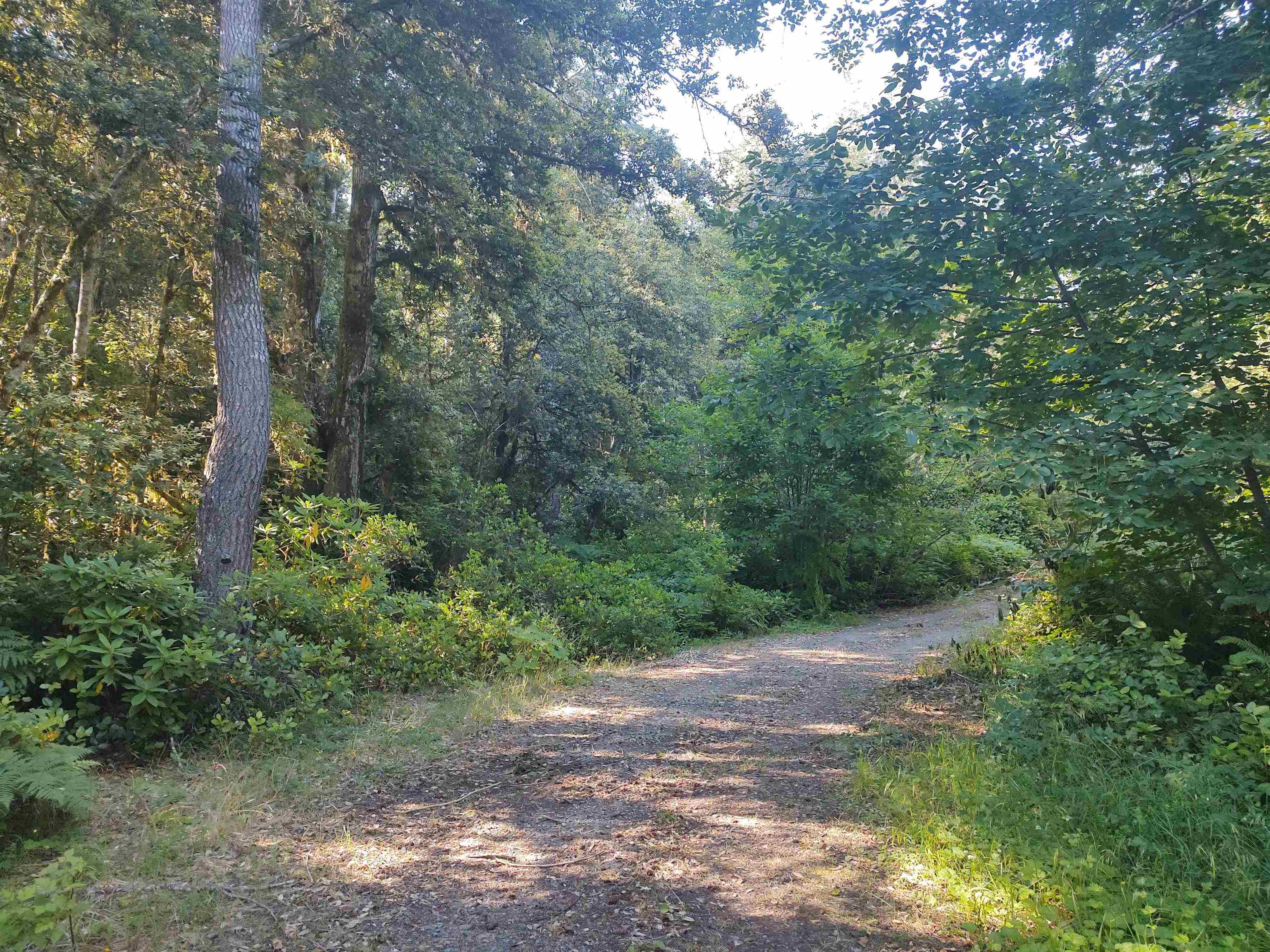 00 Low Divide Rd Road