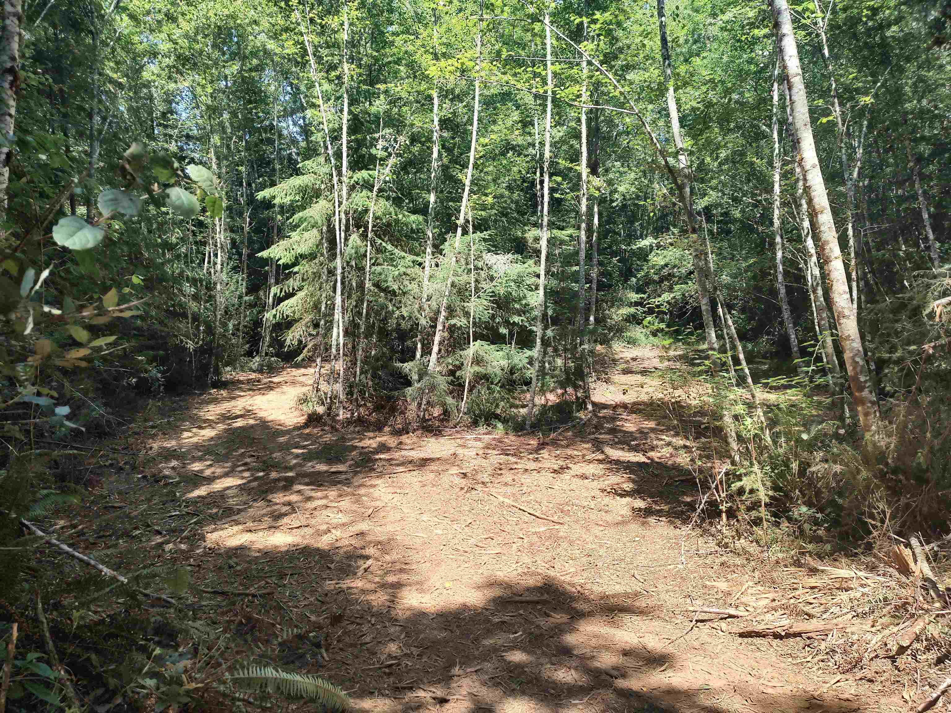 00 Low Divide Rd Road