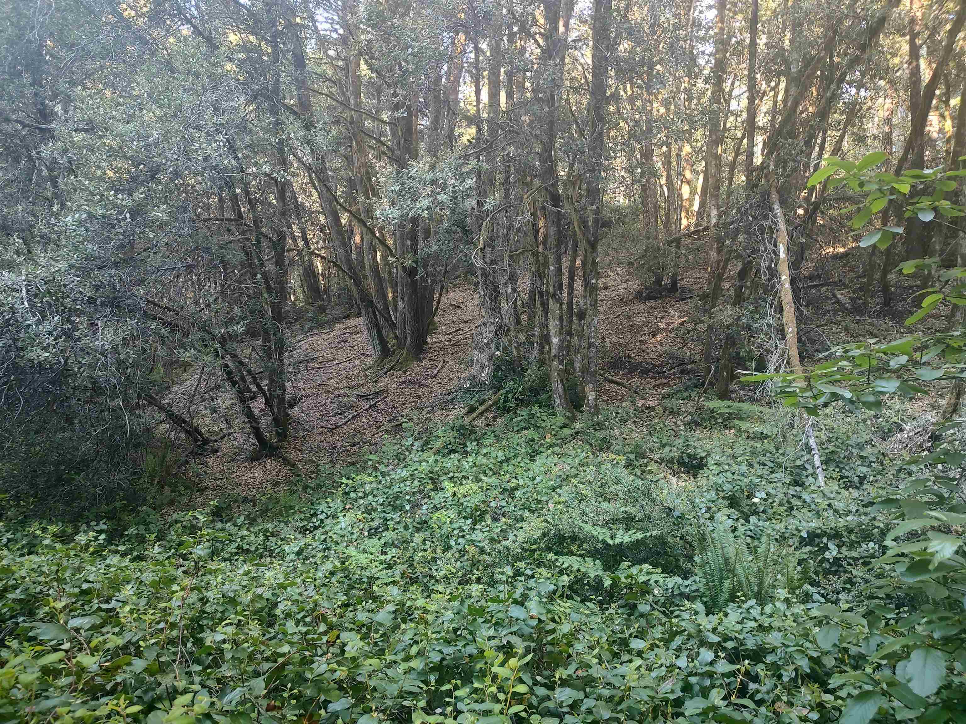 3000 Low Divide Road