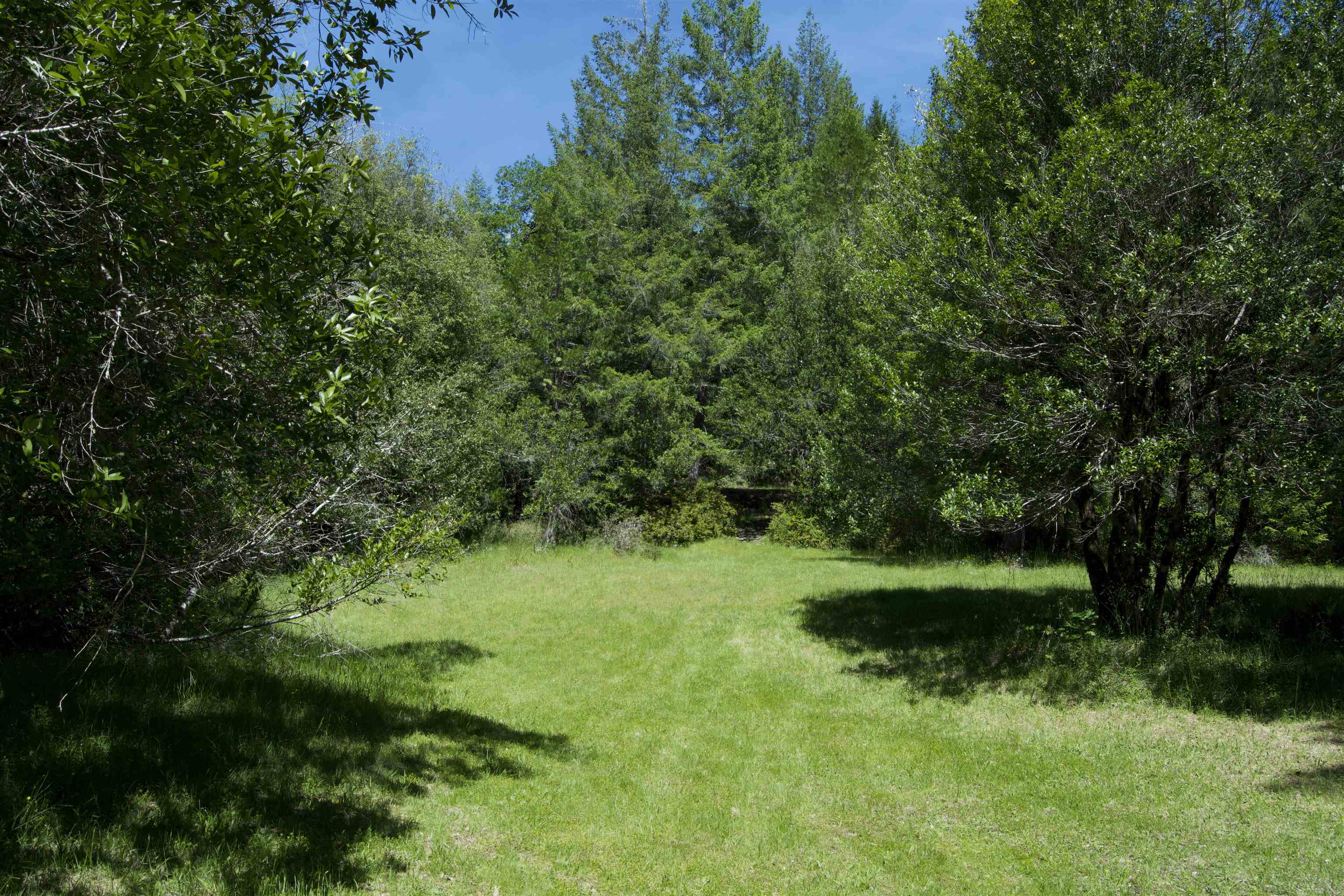 4405 Big Flat Road