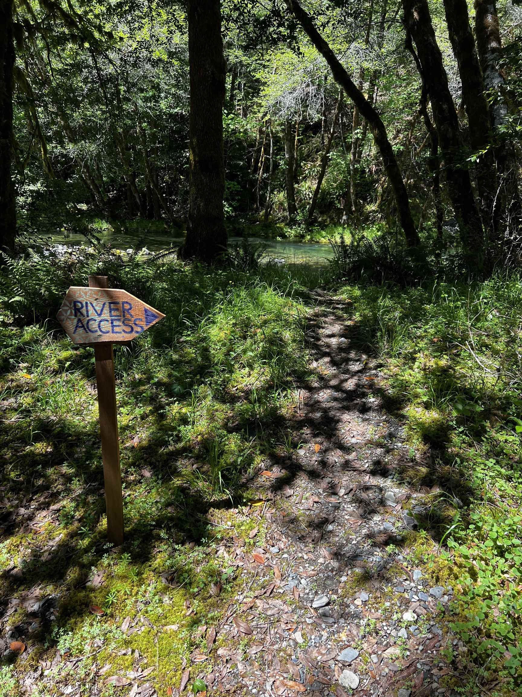4405 Big Flat Road