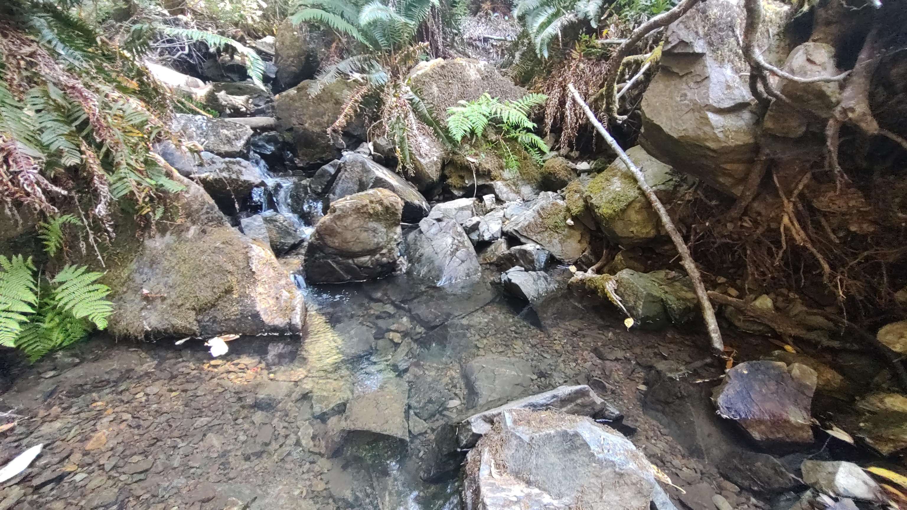 0 Feather Canyon
