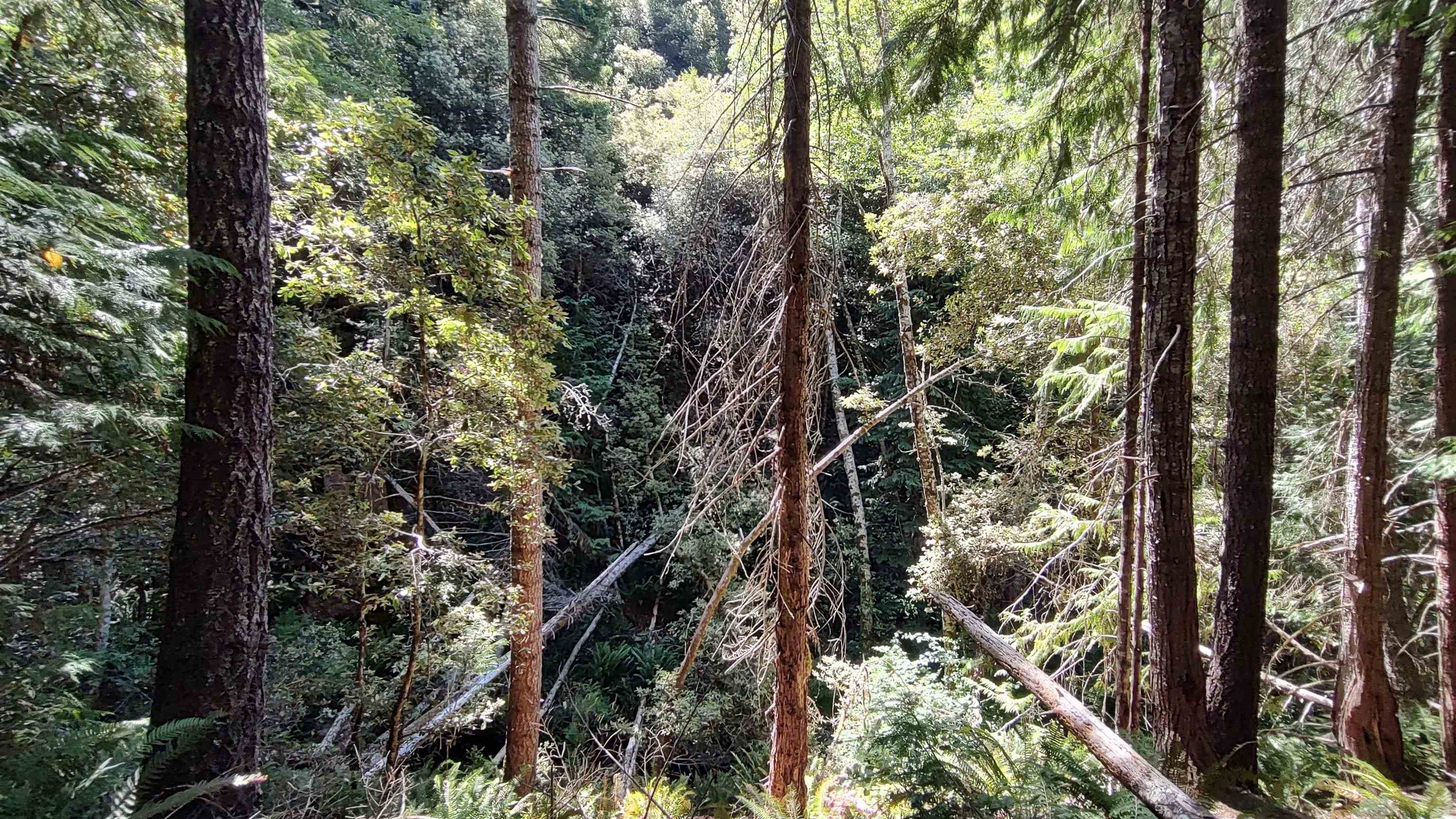 0 Feather Canyon