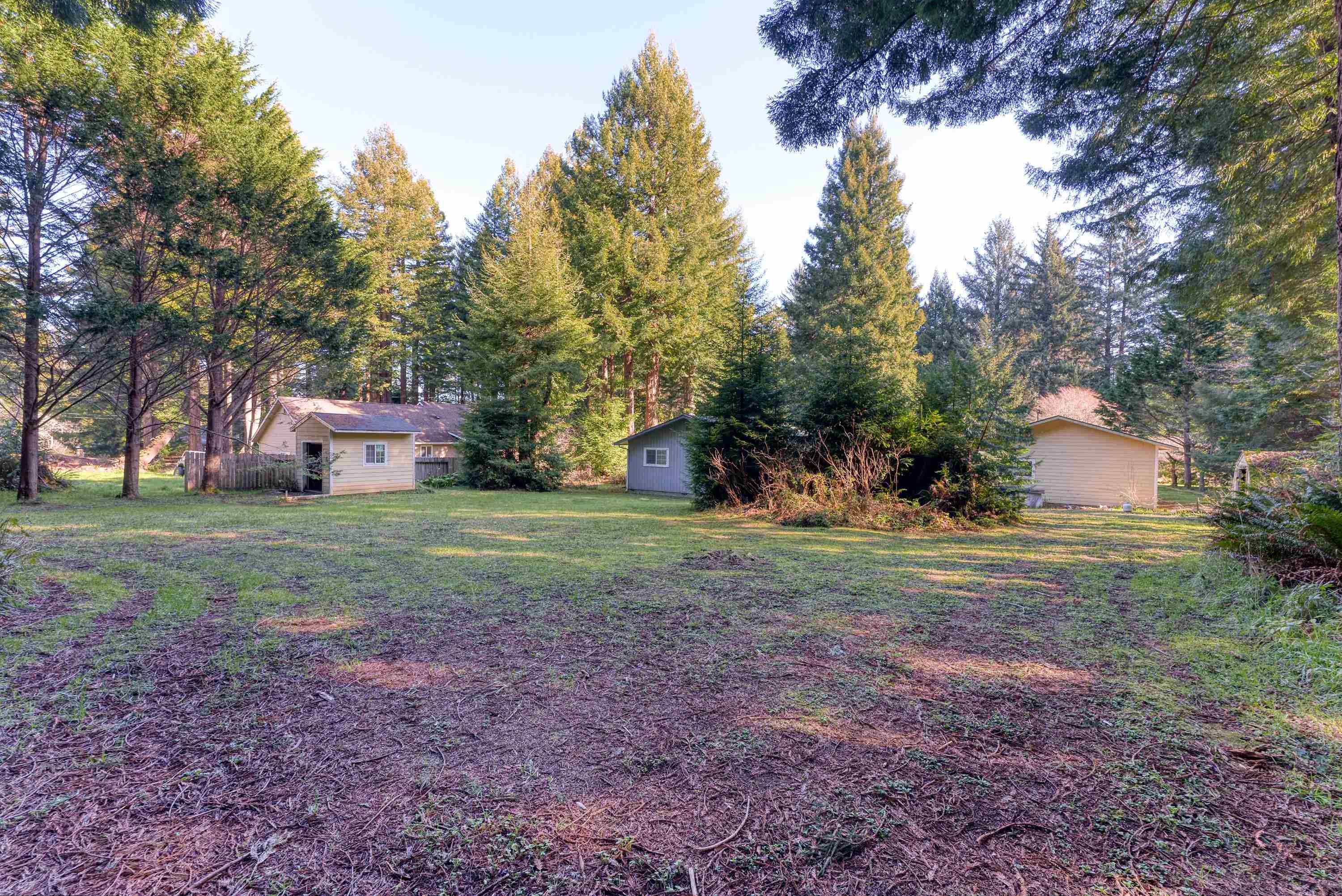 555 Ternie Lane