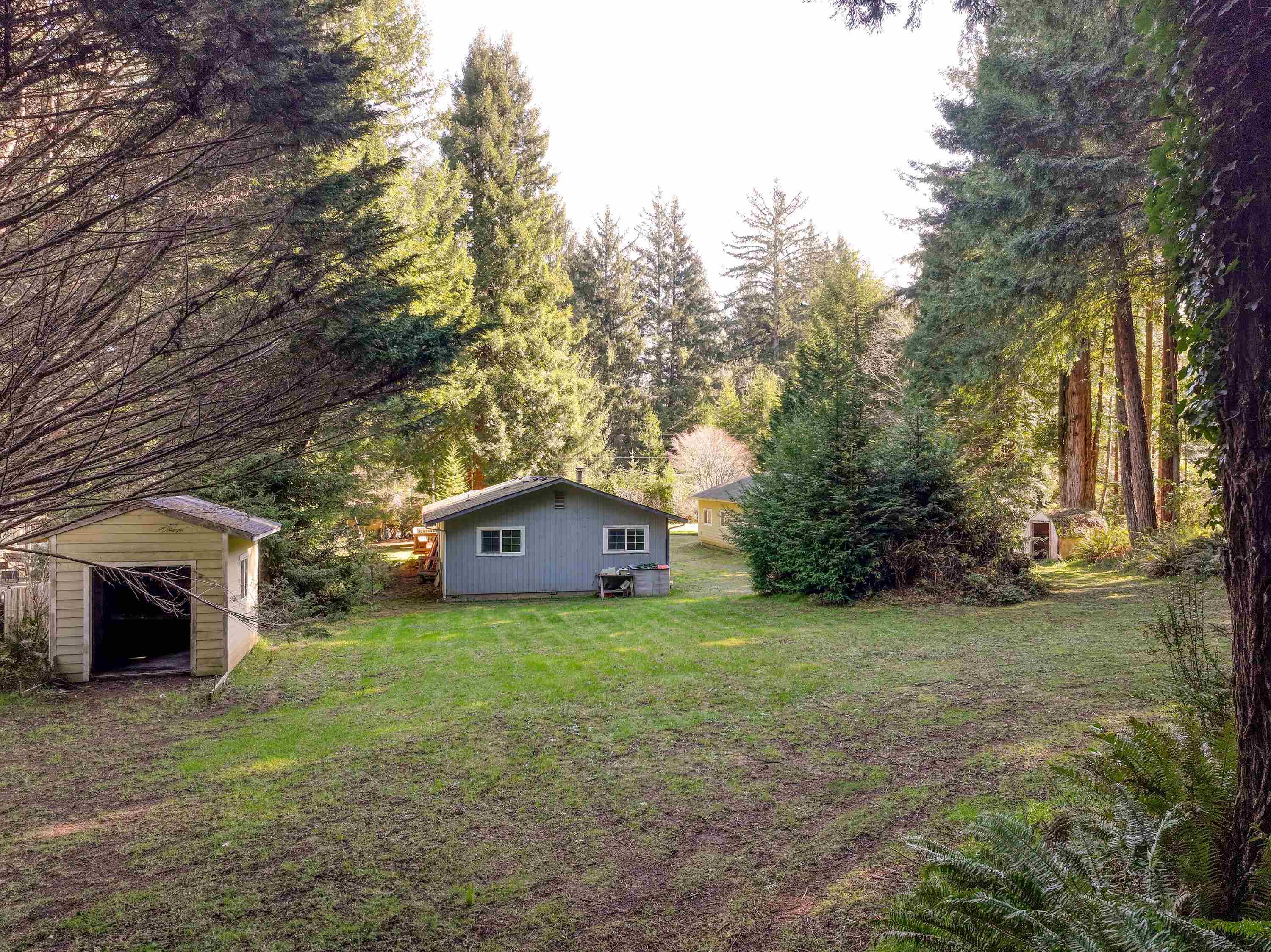 555 Ternie Lane