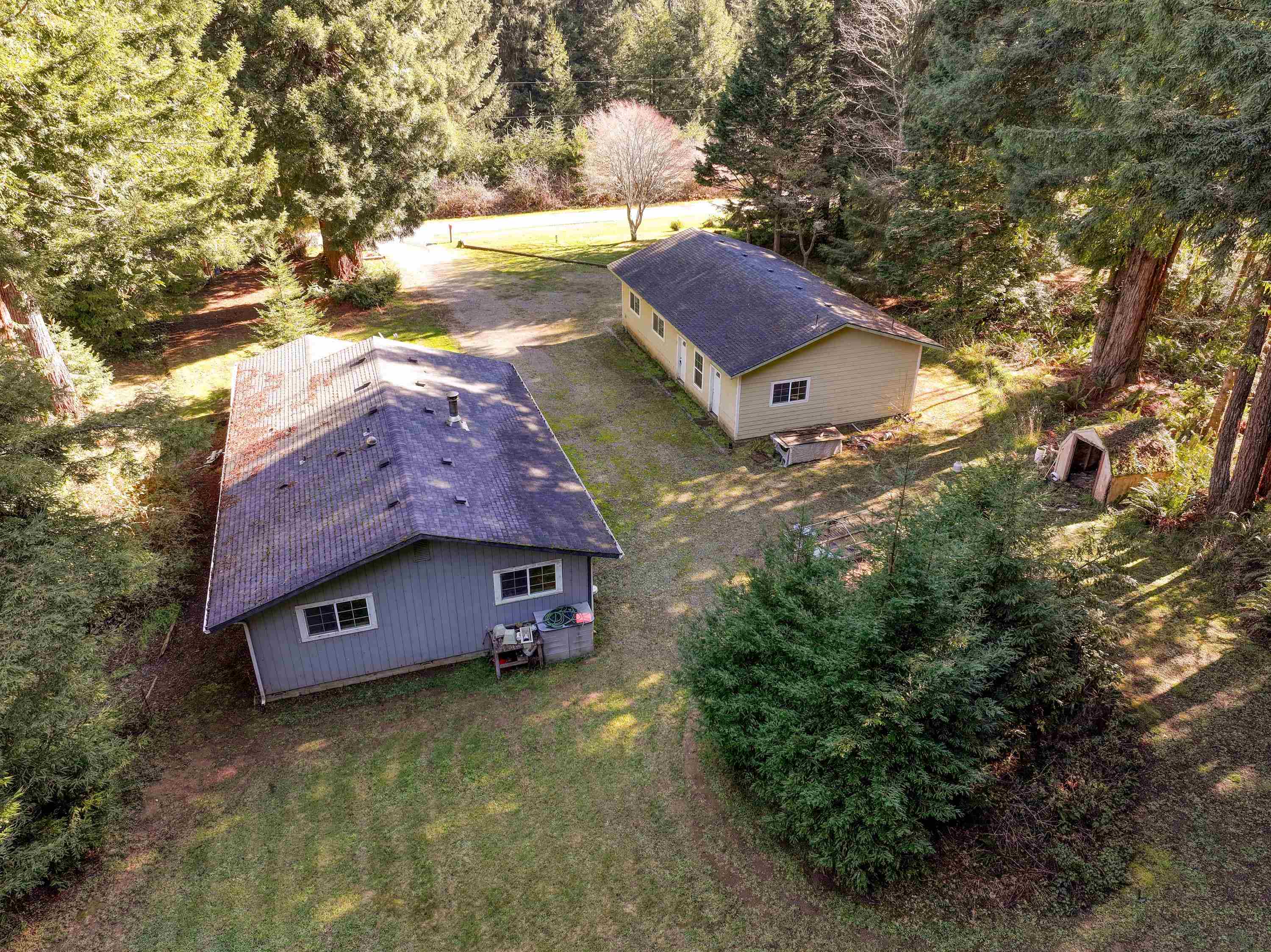 555 Ternie Lane