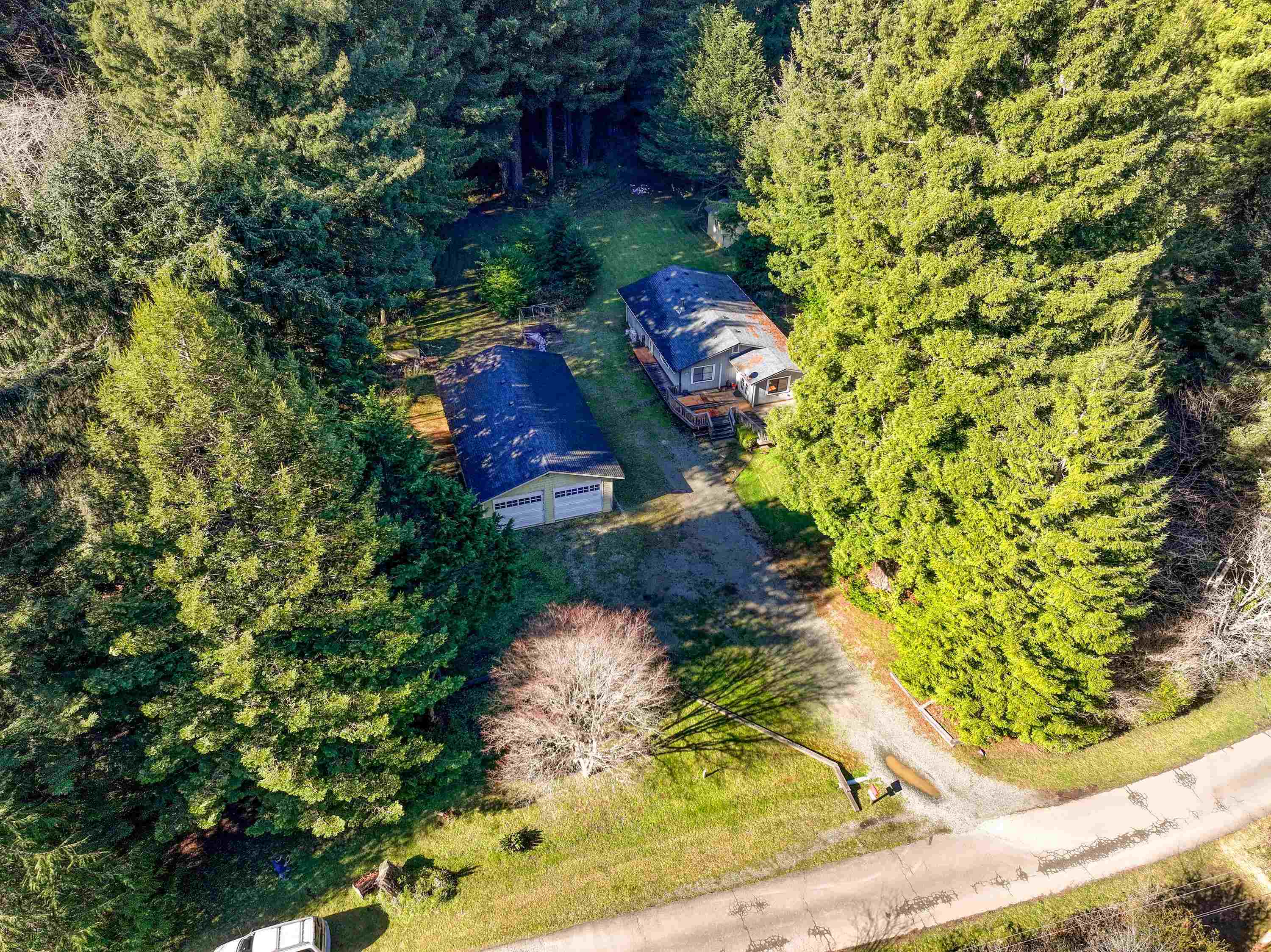 555 Ternie Lane