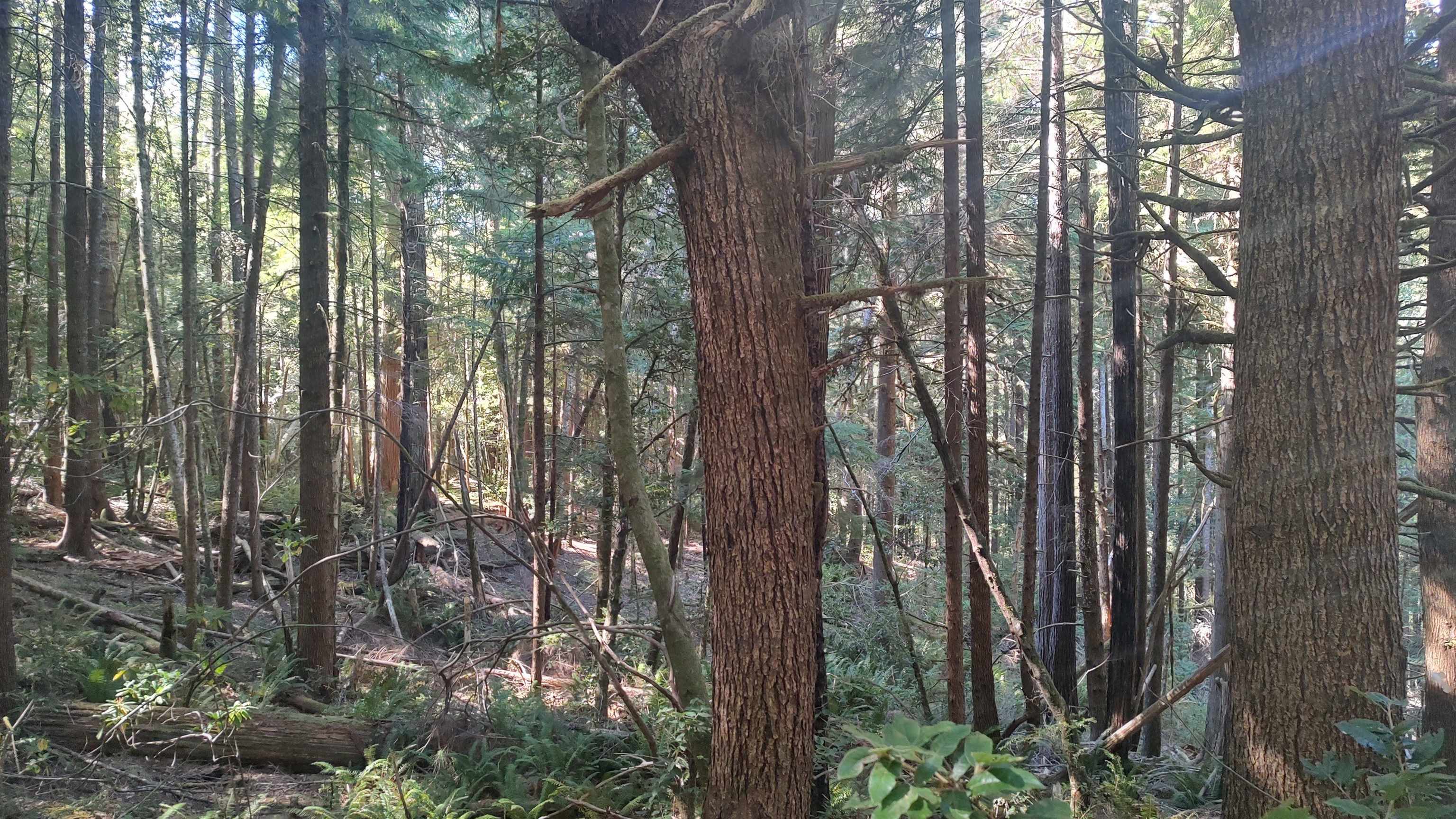 00 Allens Gulch