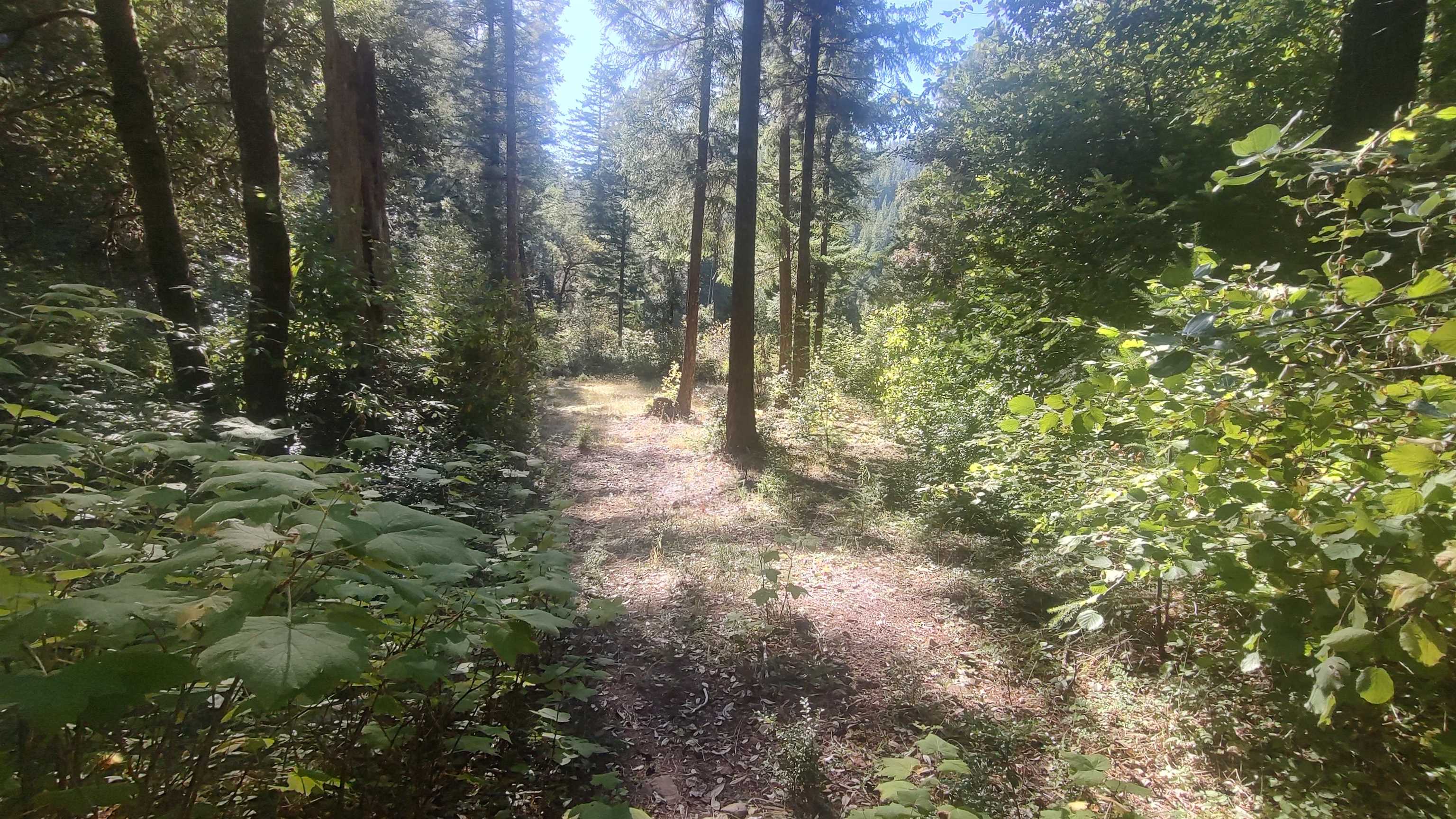 00 Allens Gulch