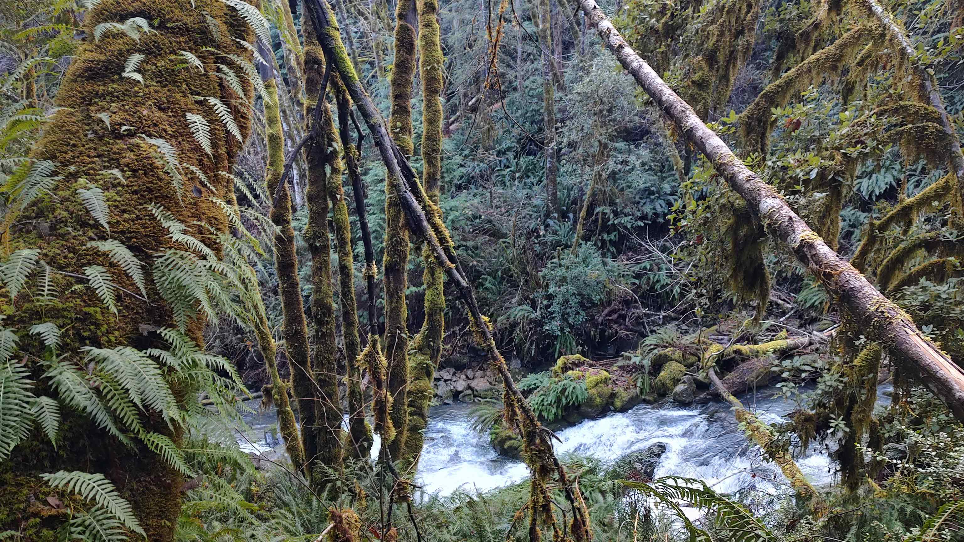 00 Allens Gulch