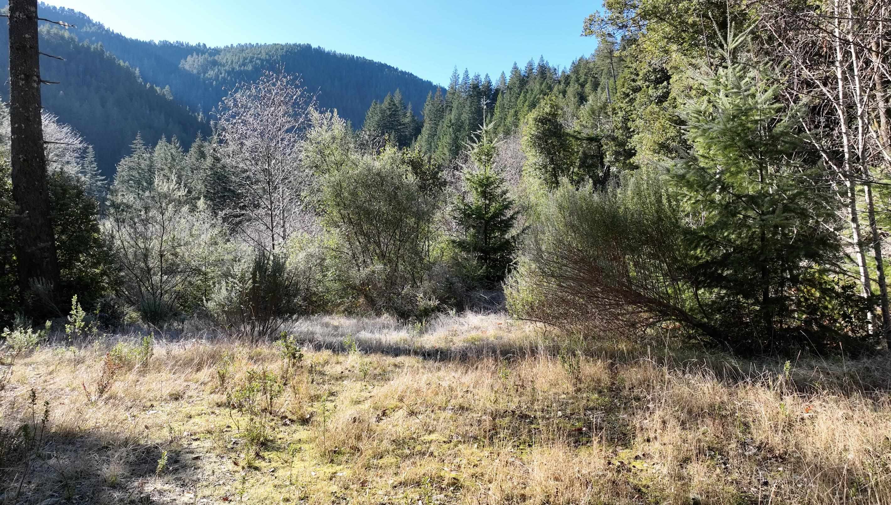 00 Allens Gulch