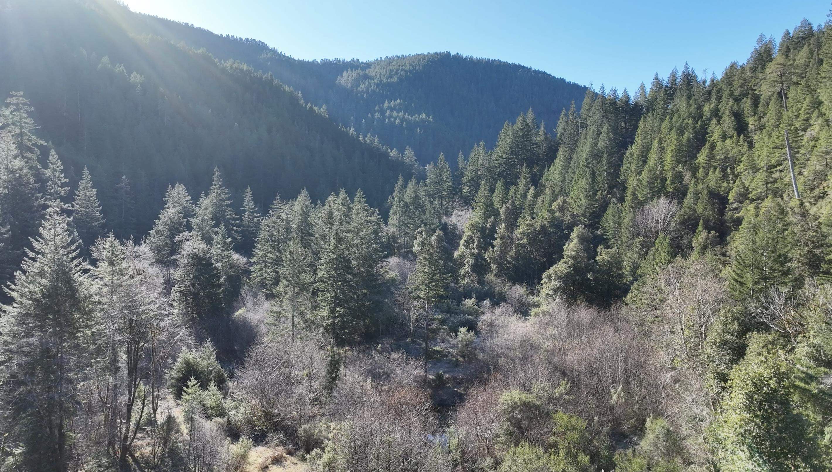00 Allens Gulch