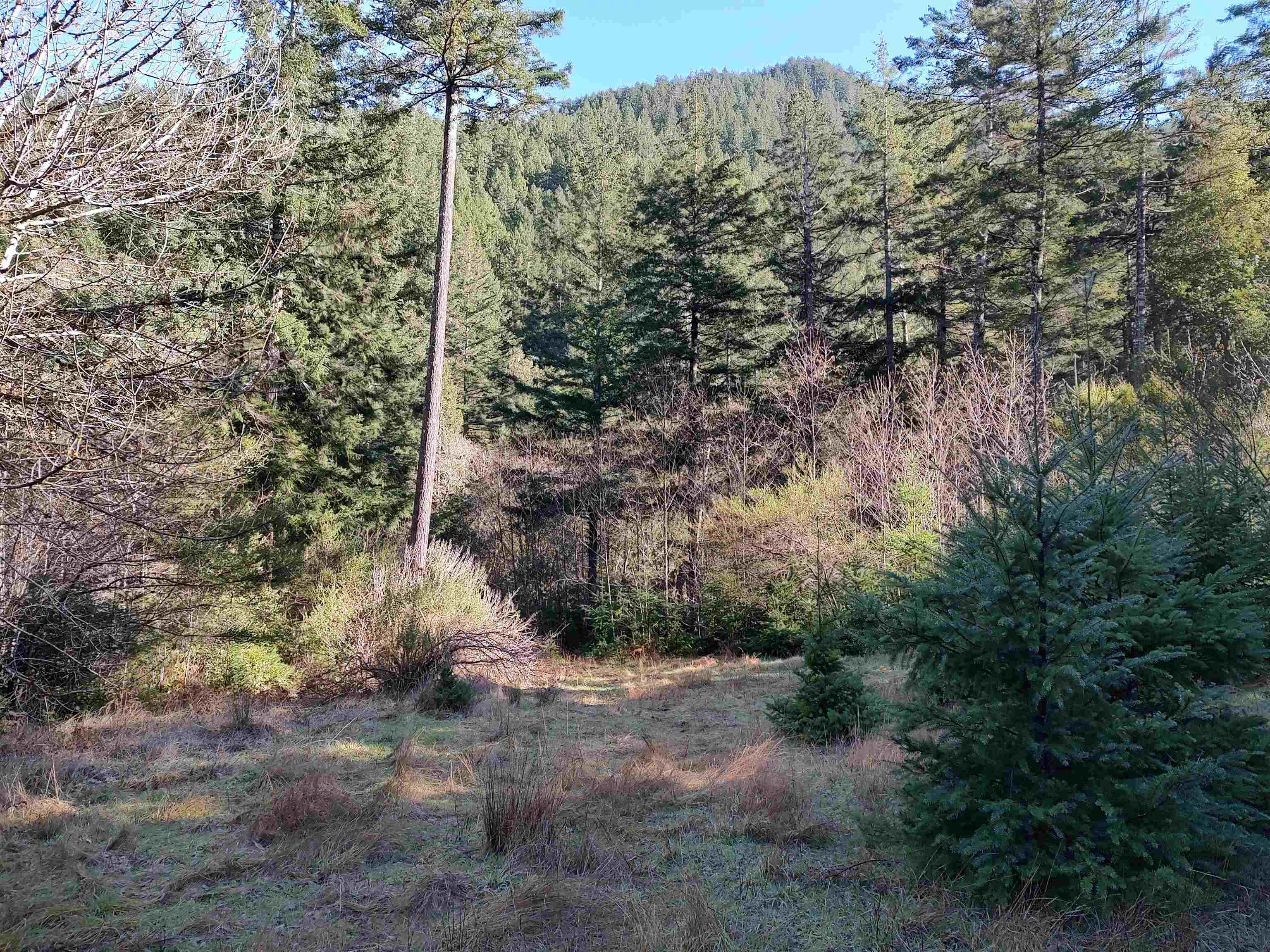 00 Allens Gulch