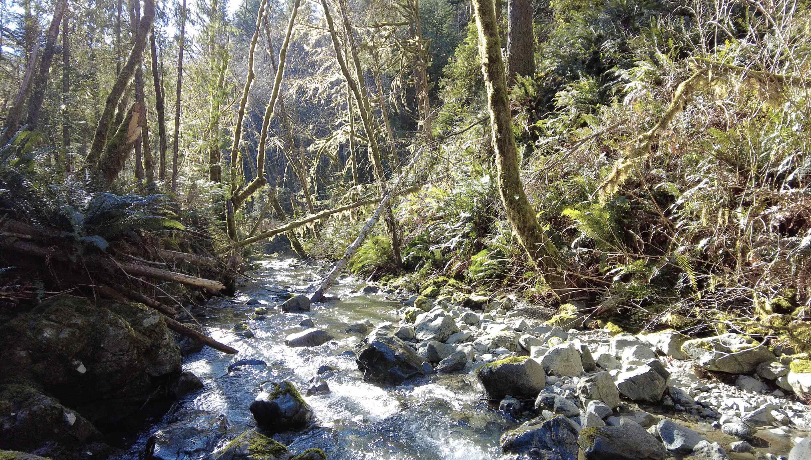 00 Allens Gulch