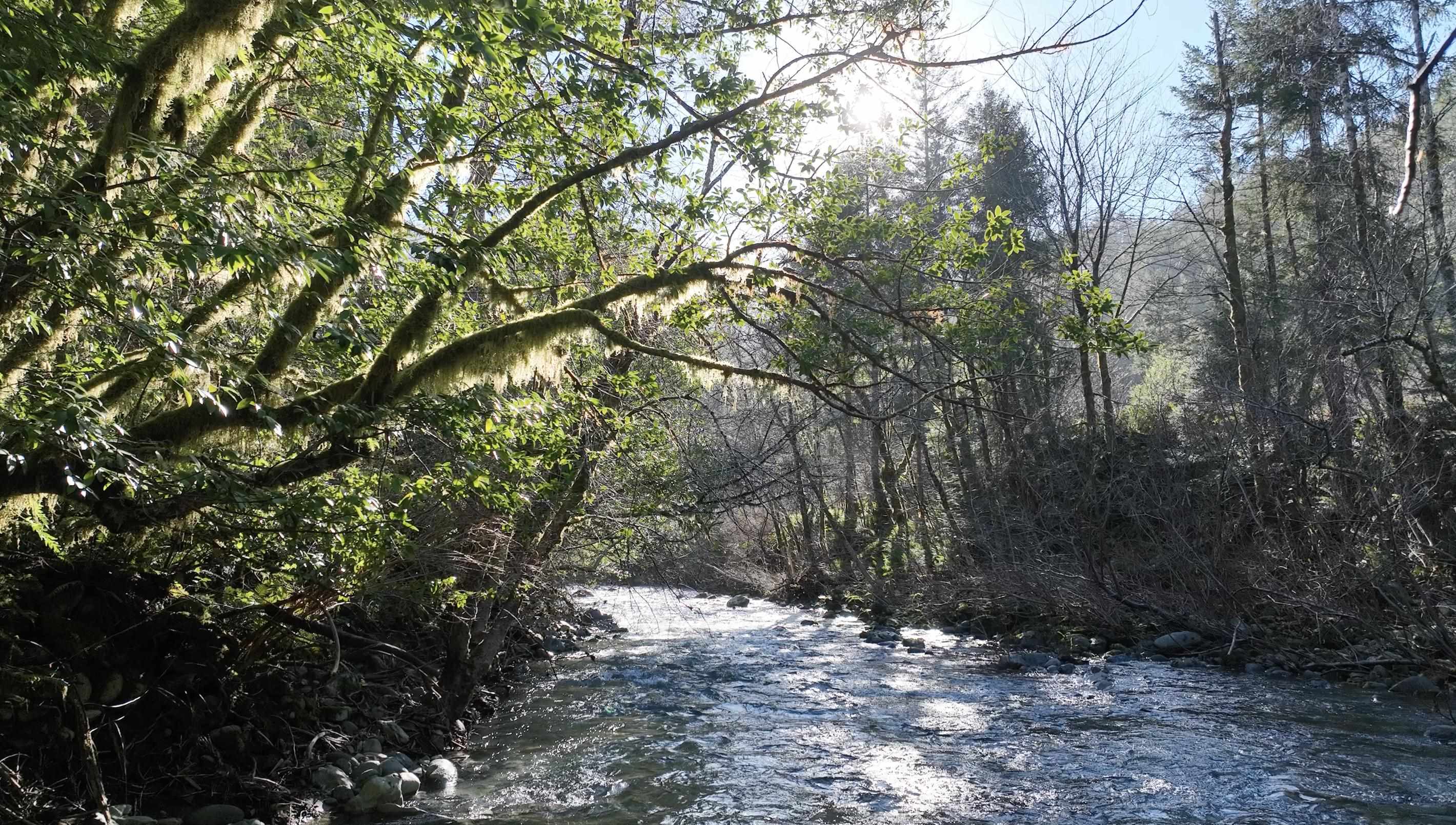 00 Allens Gulch