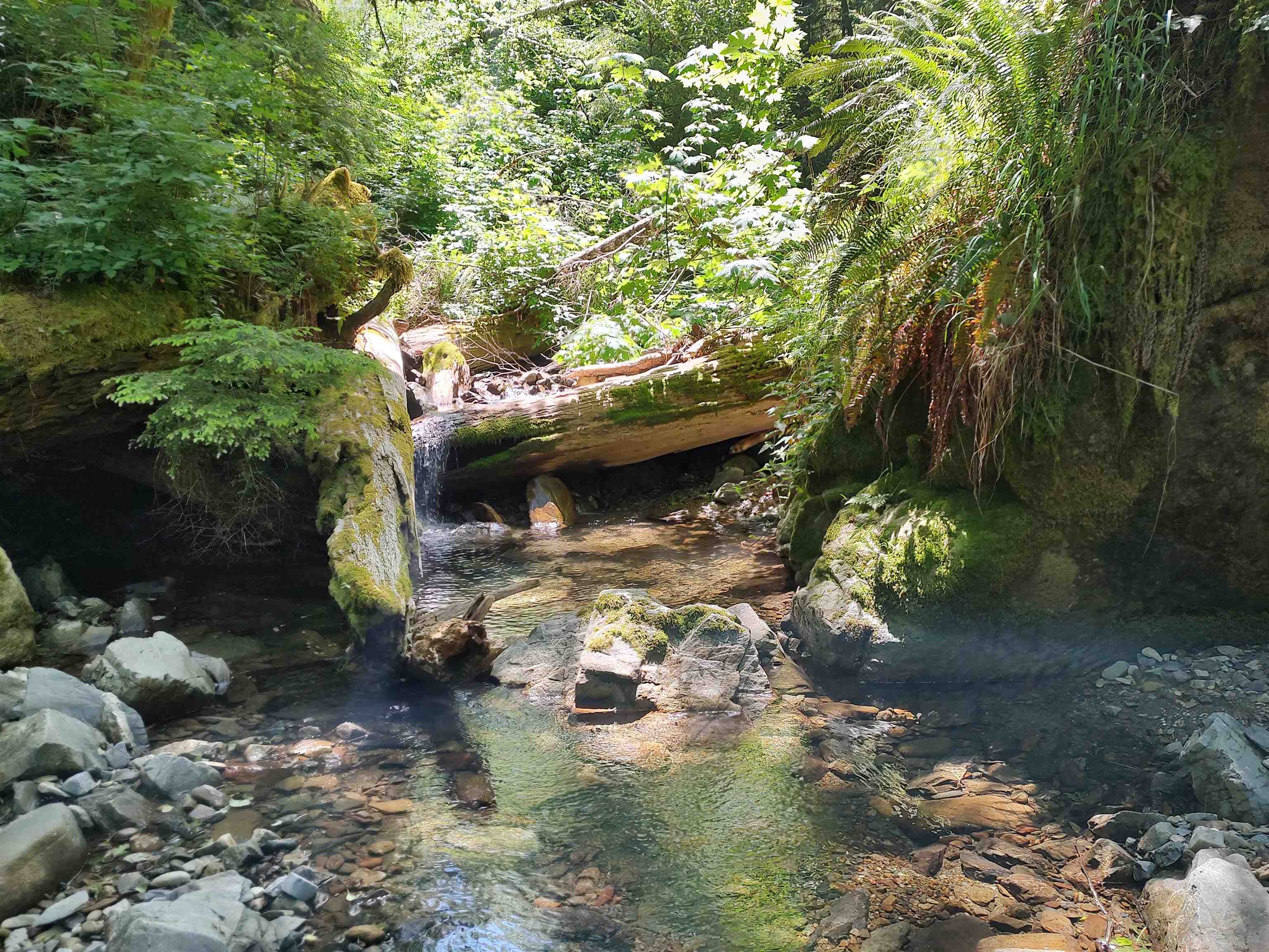 000 Rowdy Creek