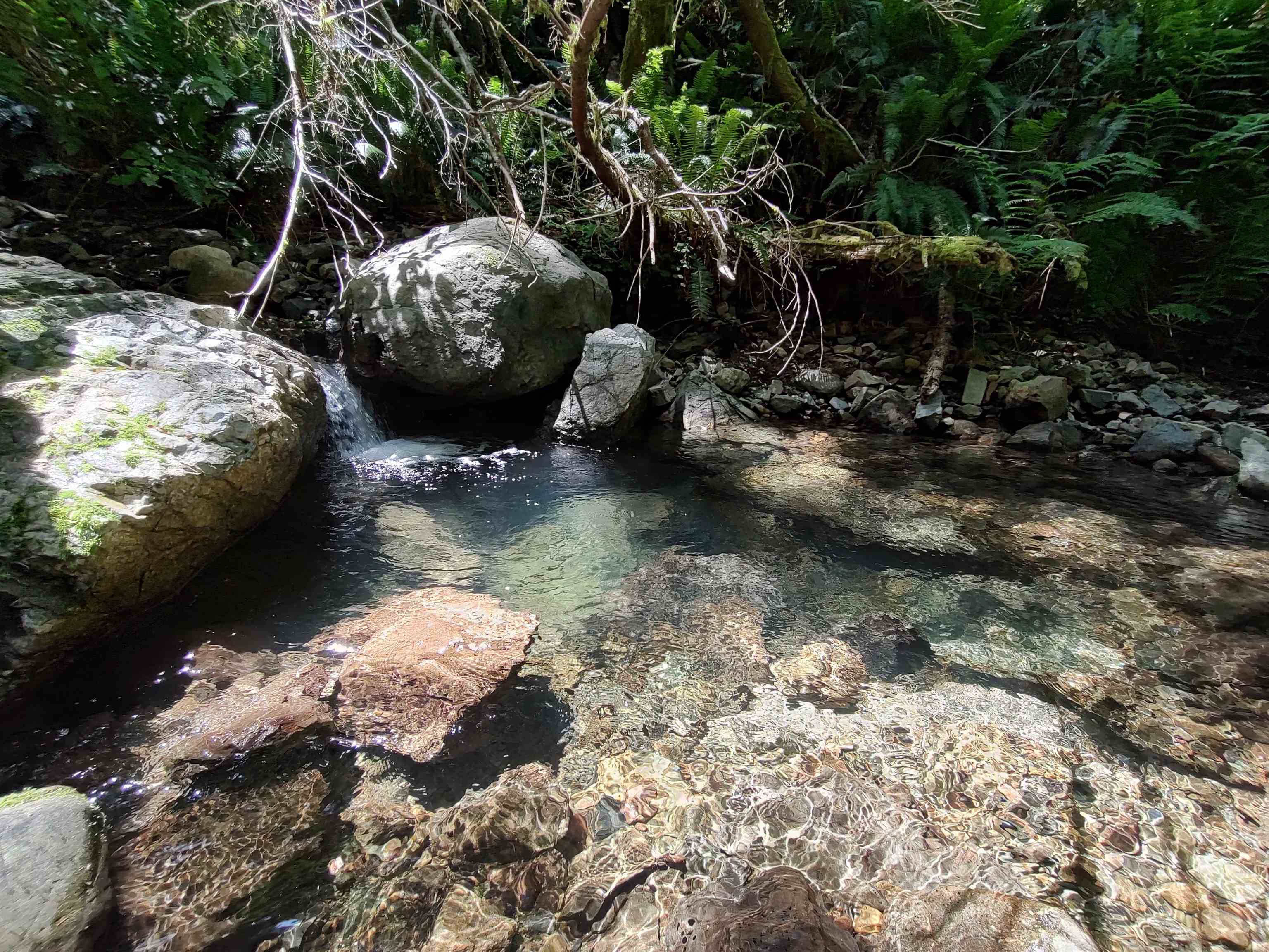 000 Rowdy Creek
