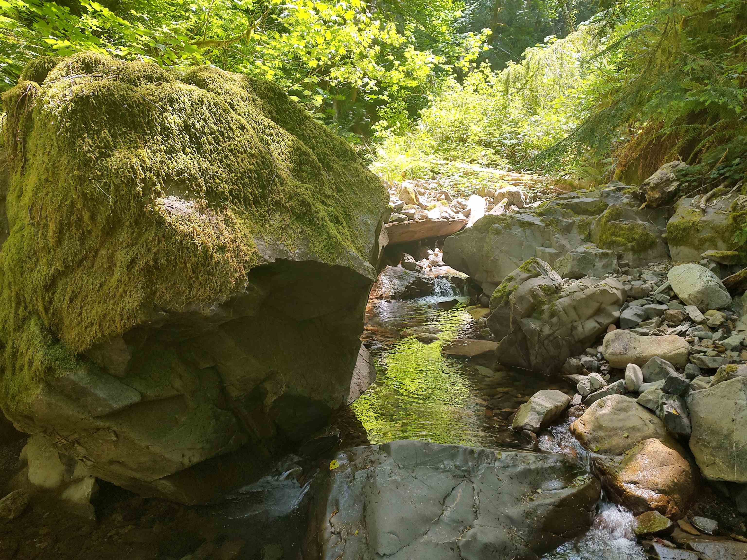 000 Rowdy Creek