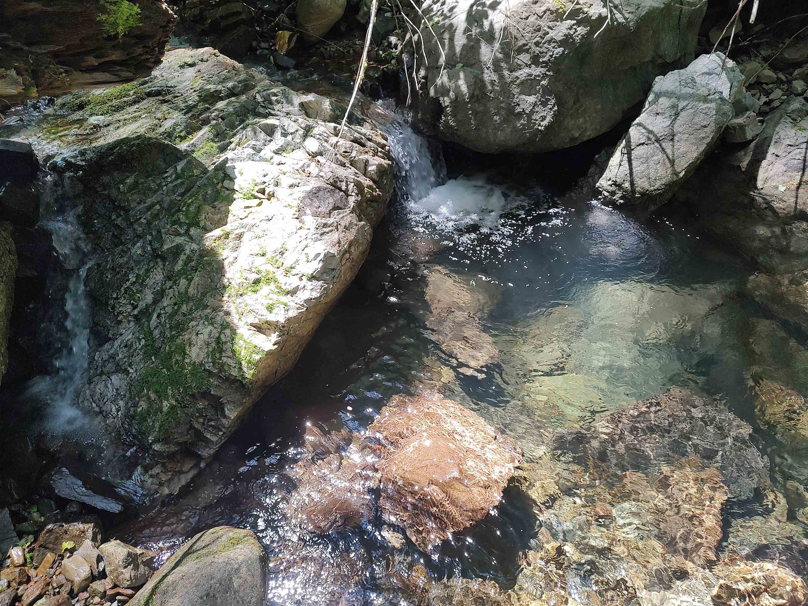 000 Rowdy Creek