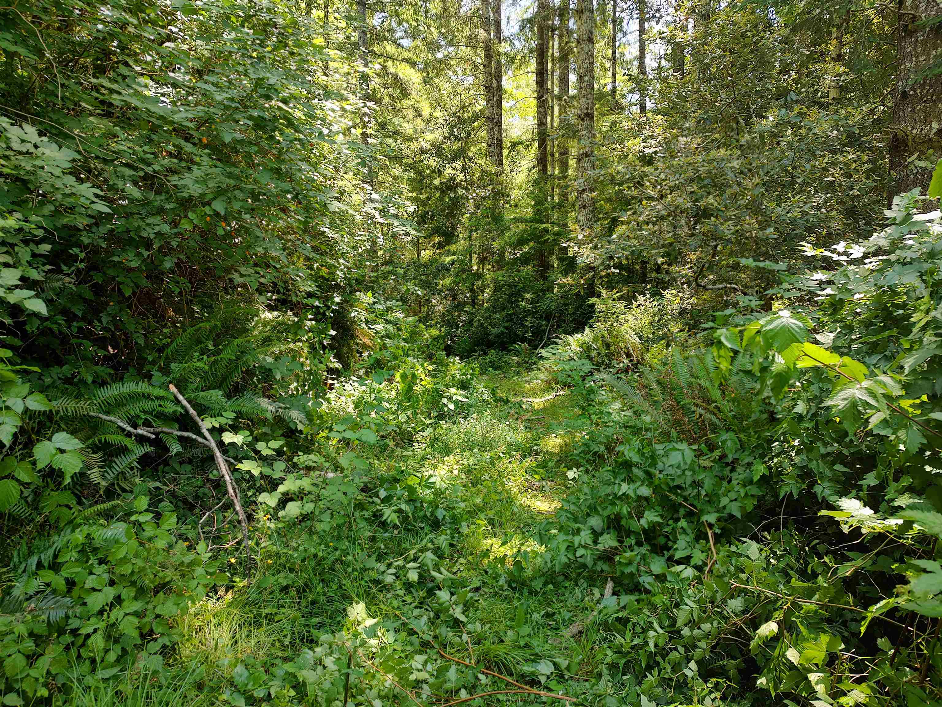 000 Rowdy Creek