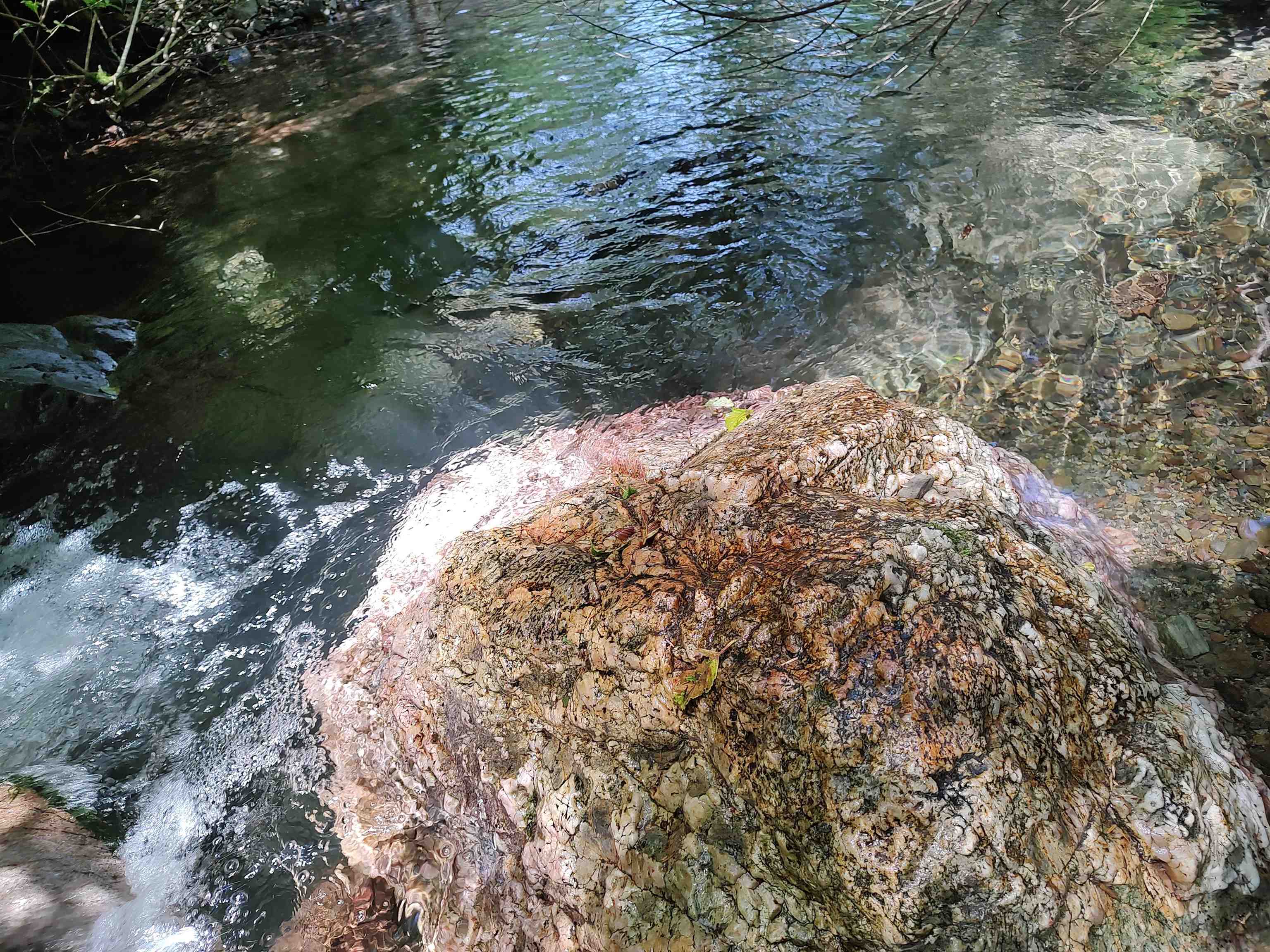 000 Rowdy Creek