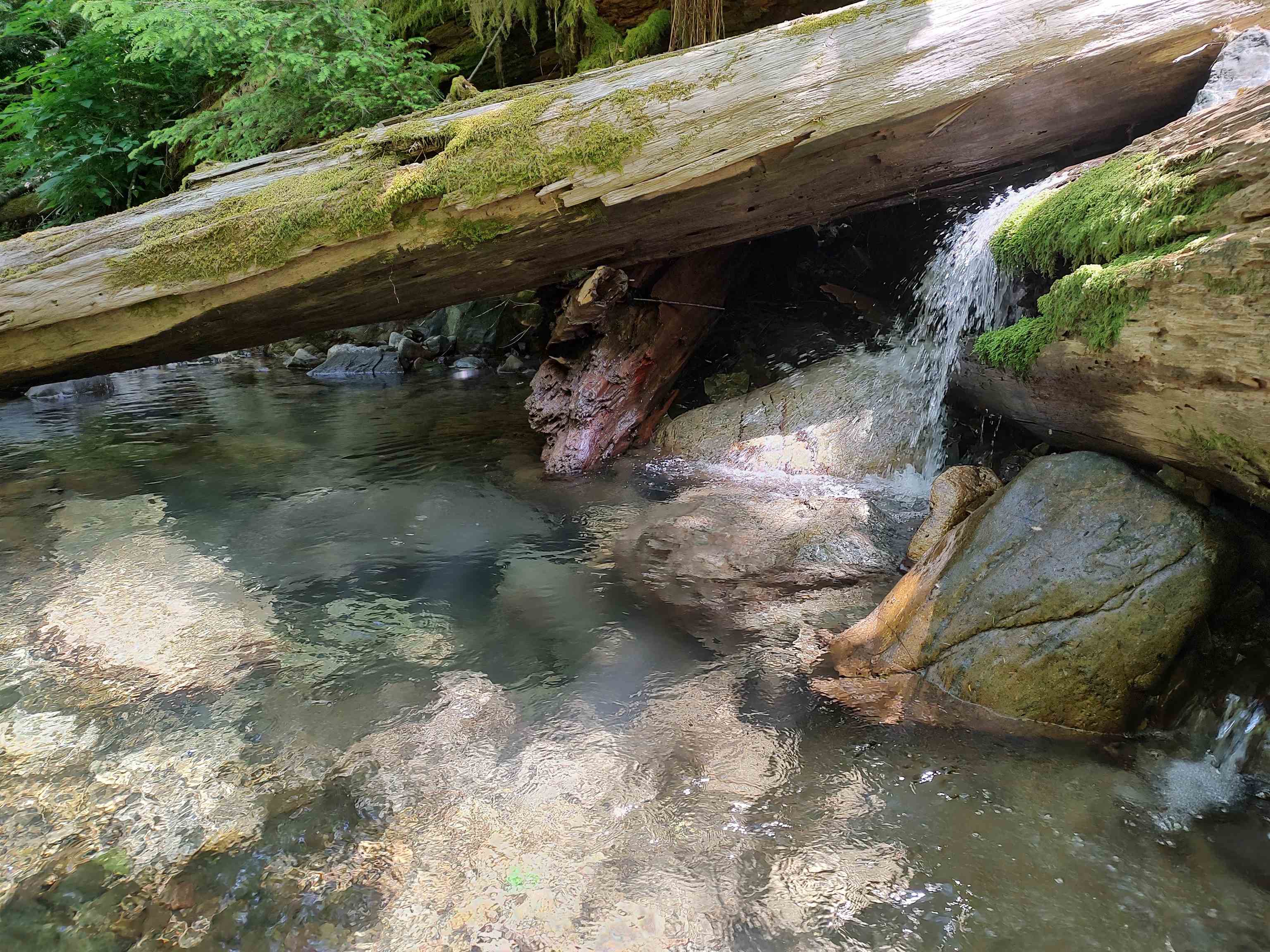 000 Rowdy Creek