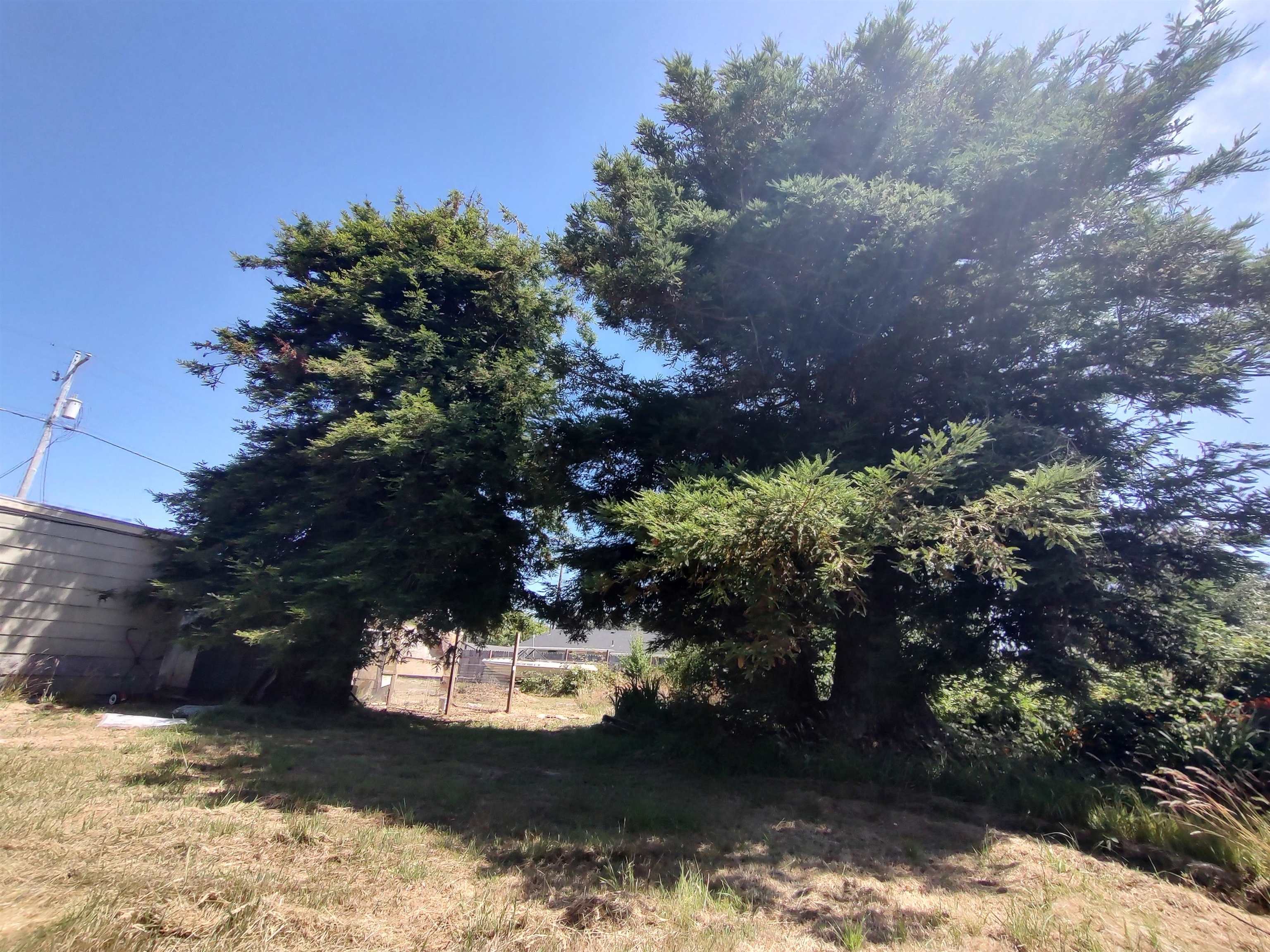 469 Murphy Avenue