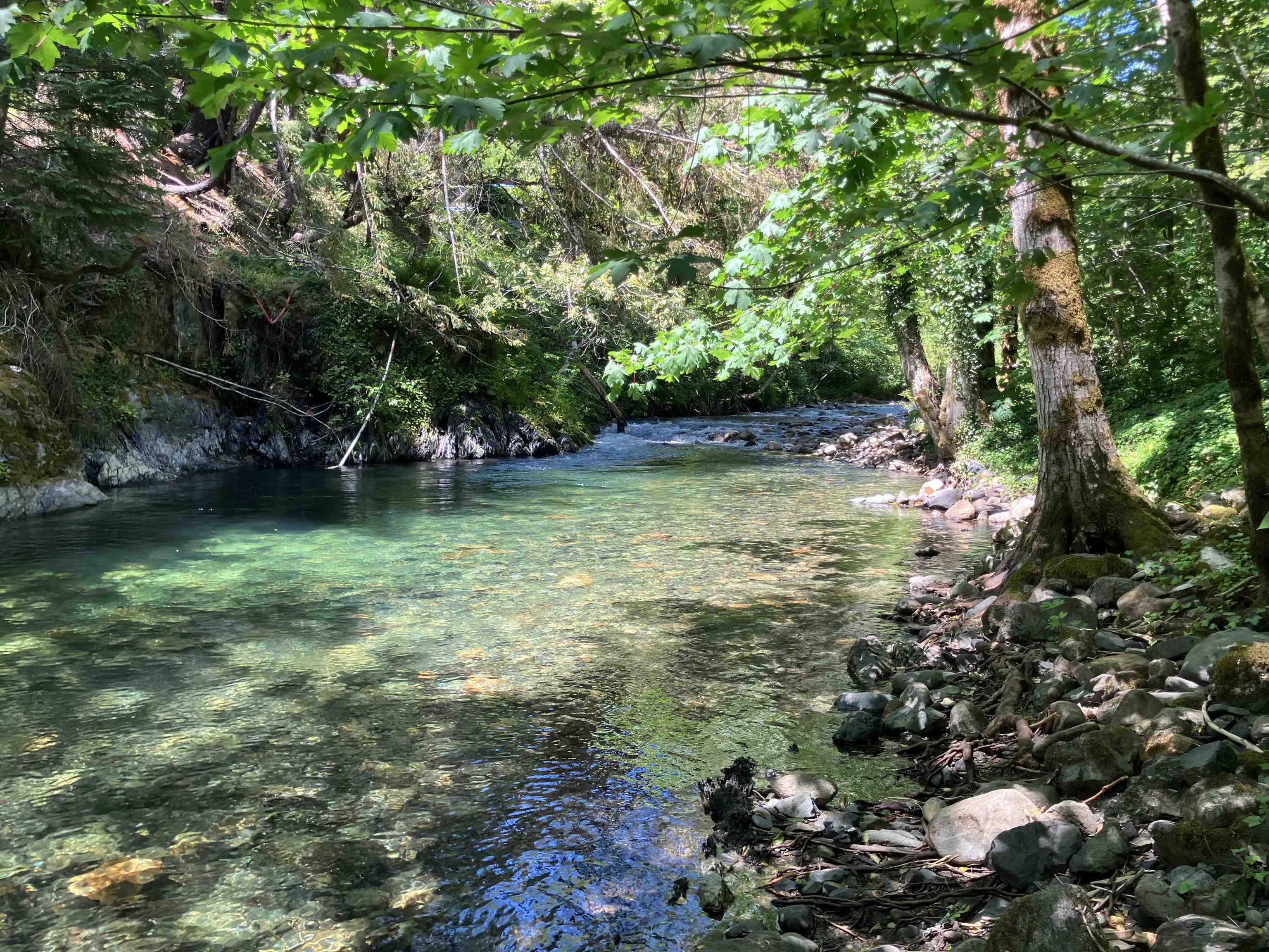 300 Tal Trail