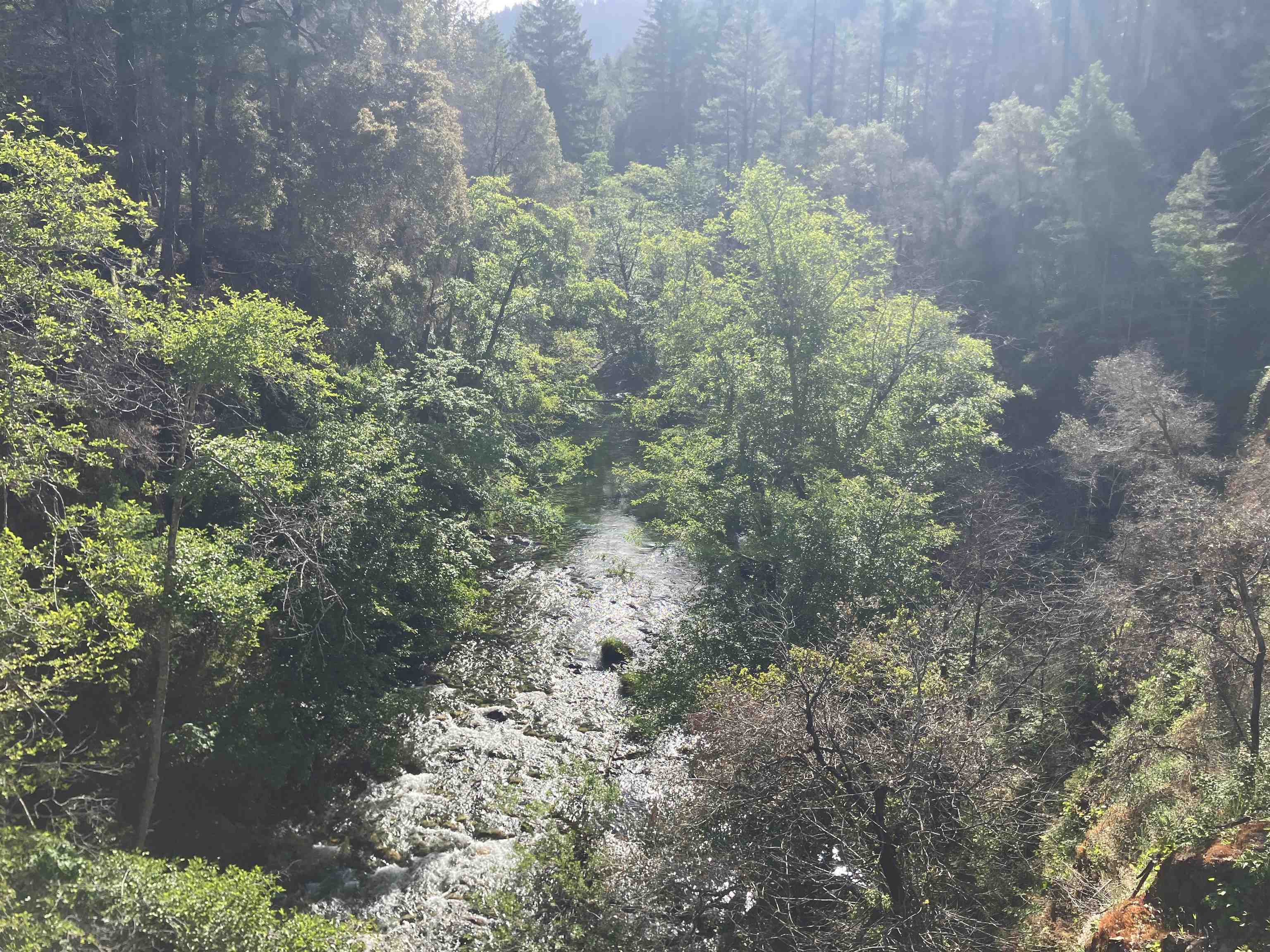 300 Tal Trail