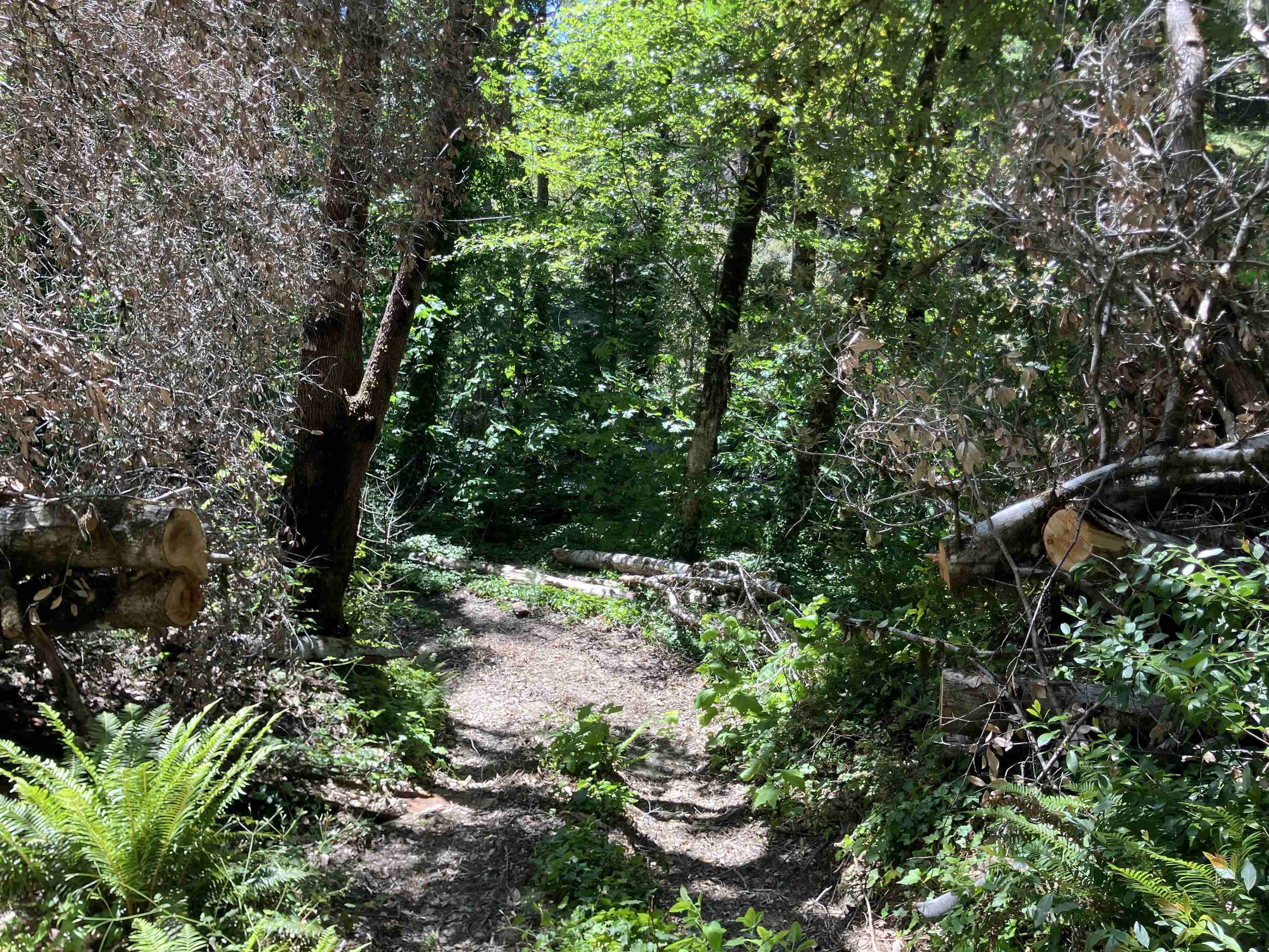 300 Tal Trail