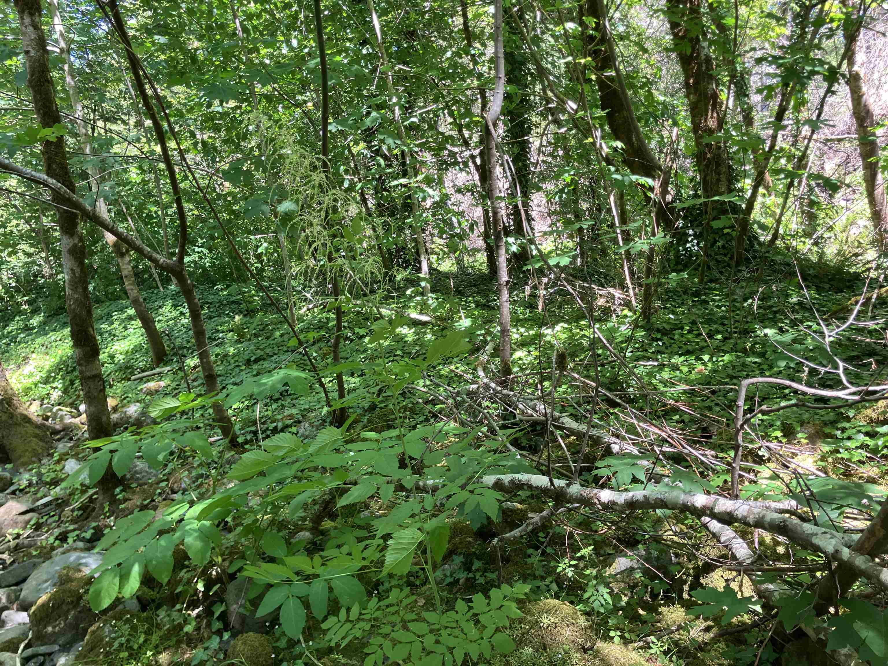 300 Tal Trail
