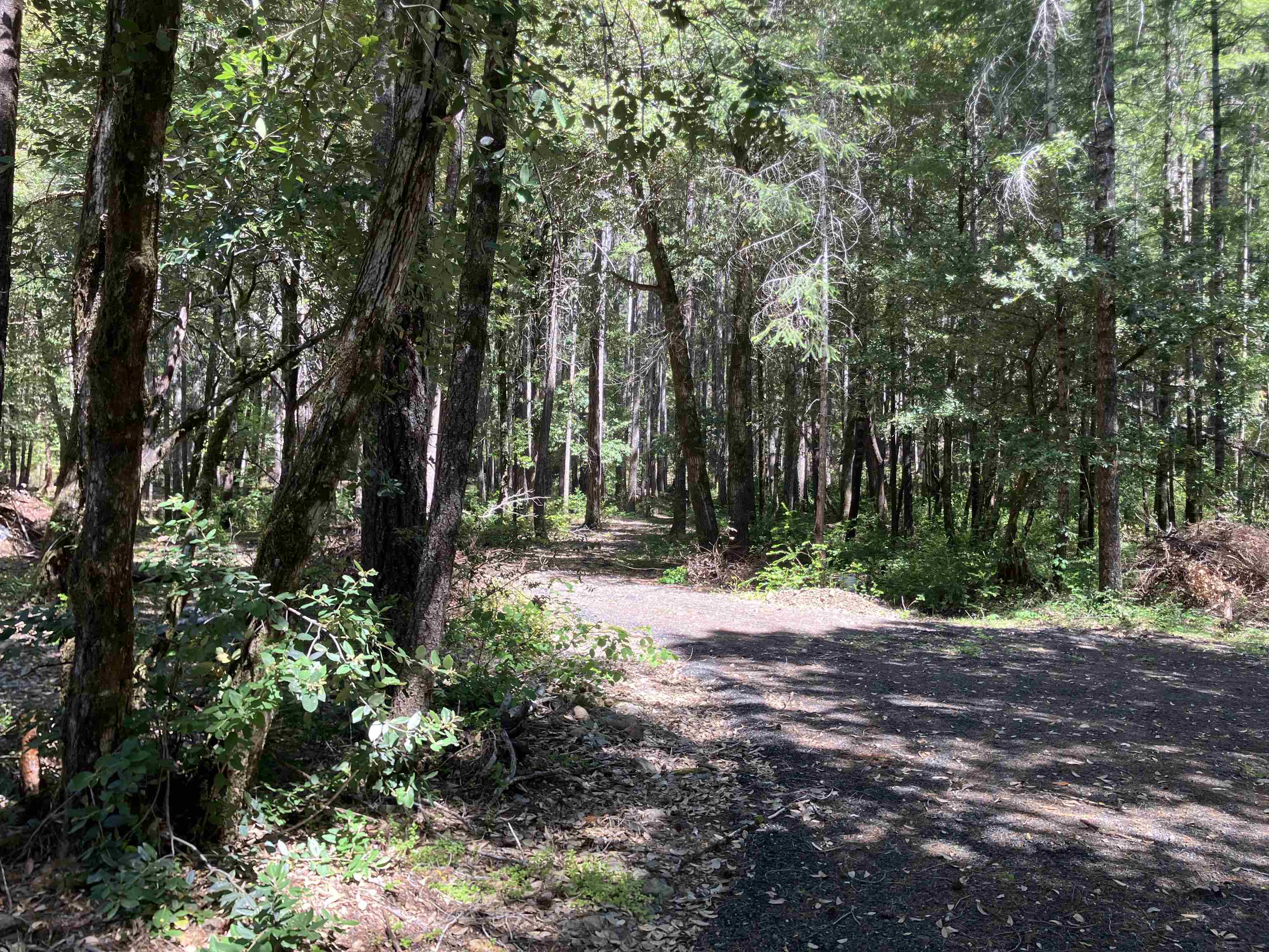 300 Tal Trail