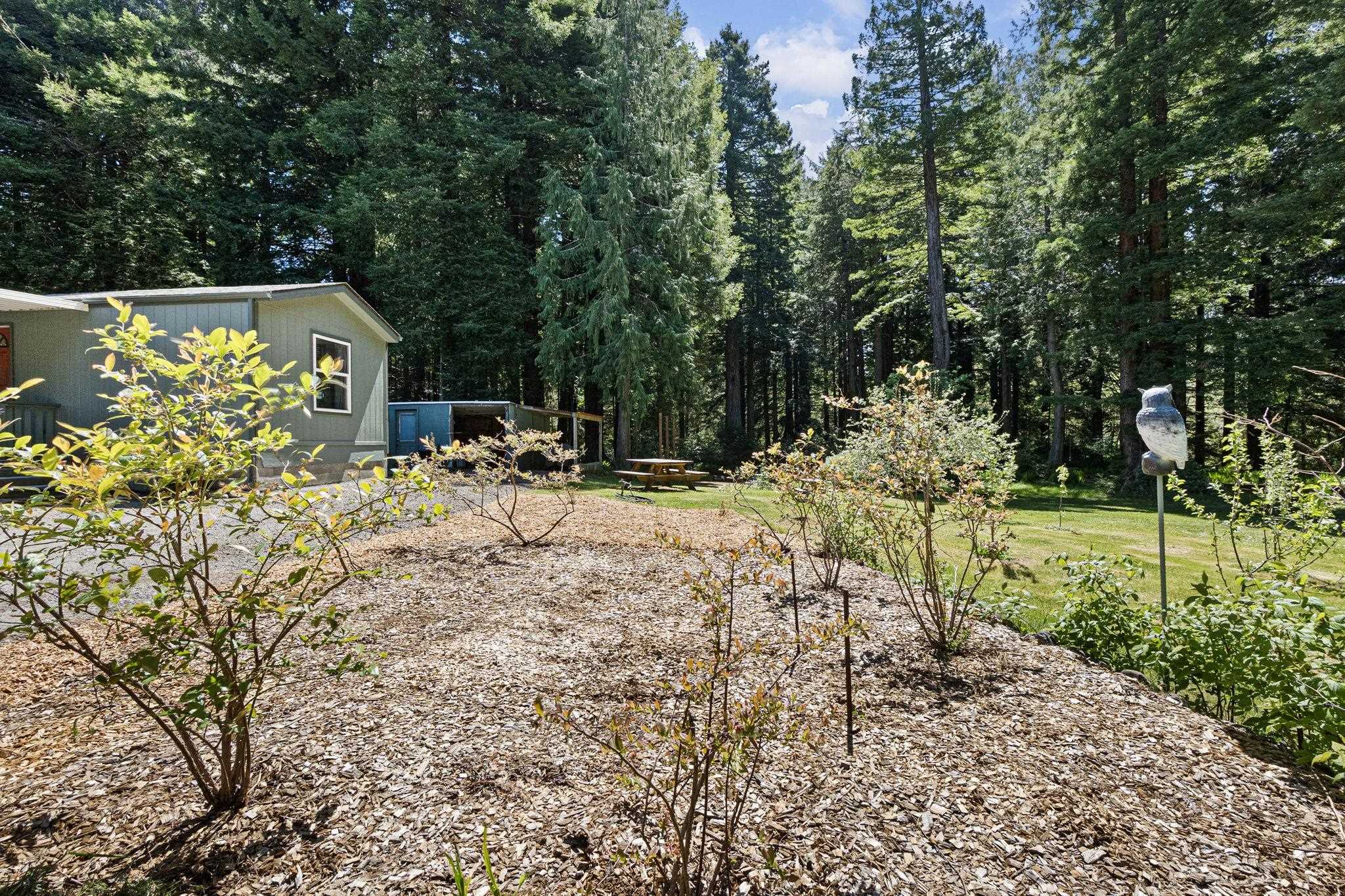 200 Tanglewood Lane