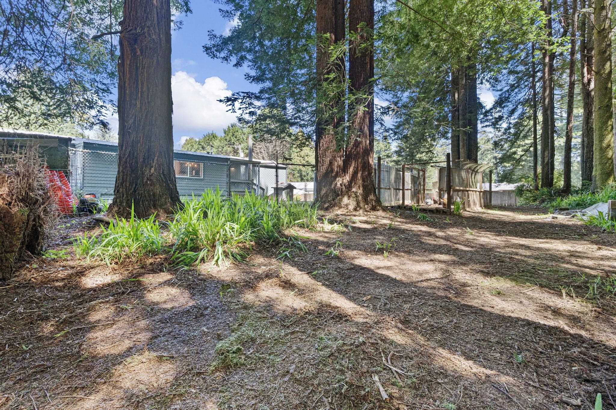 200 Tanglewood Lane