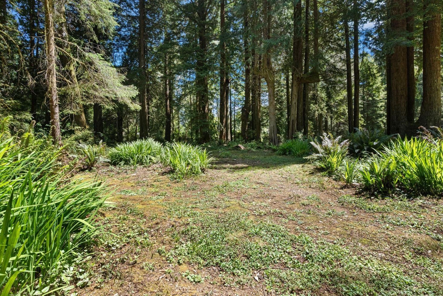 411 Fernwood Lane