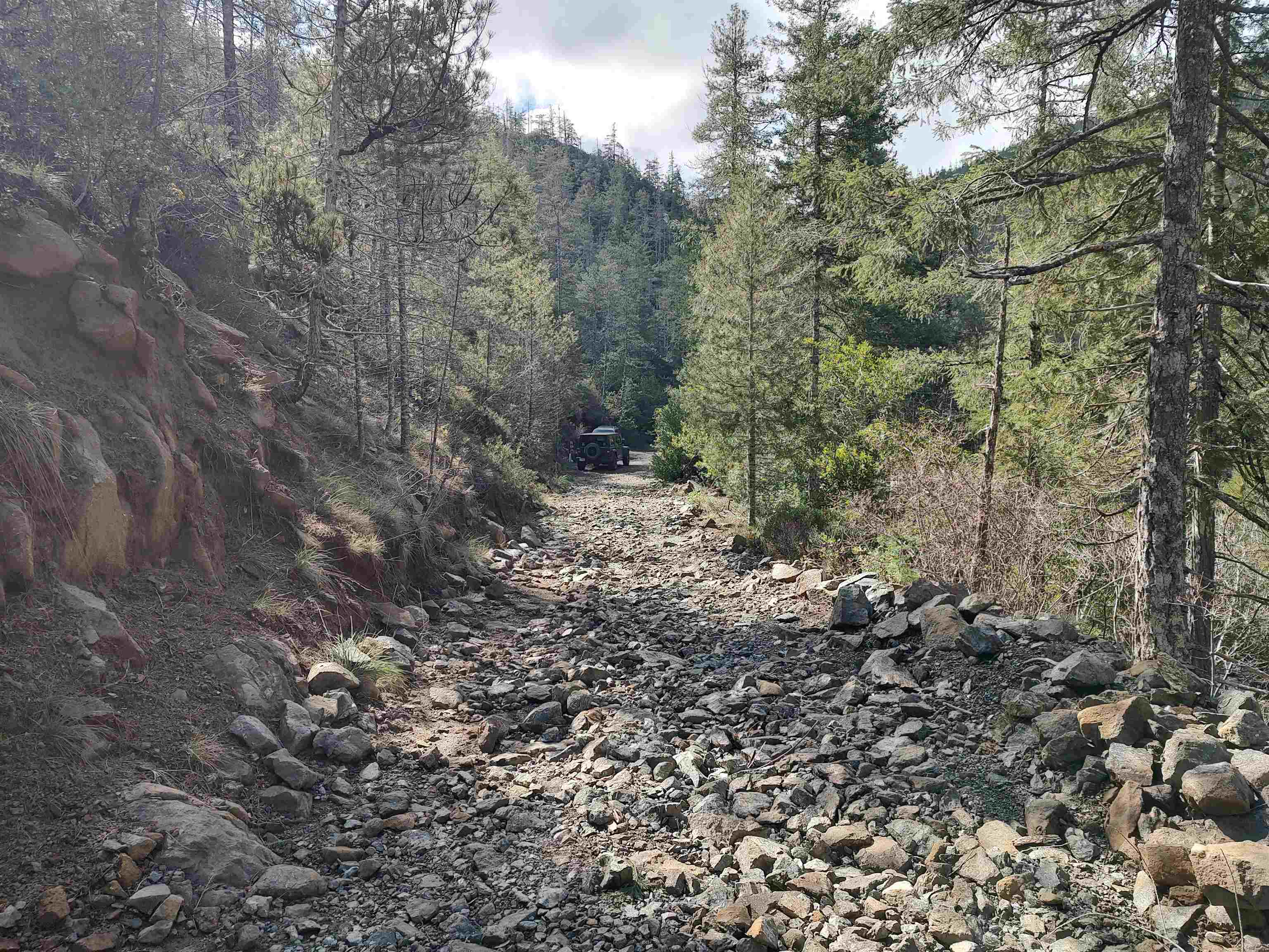 019 Low Divide Road
