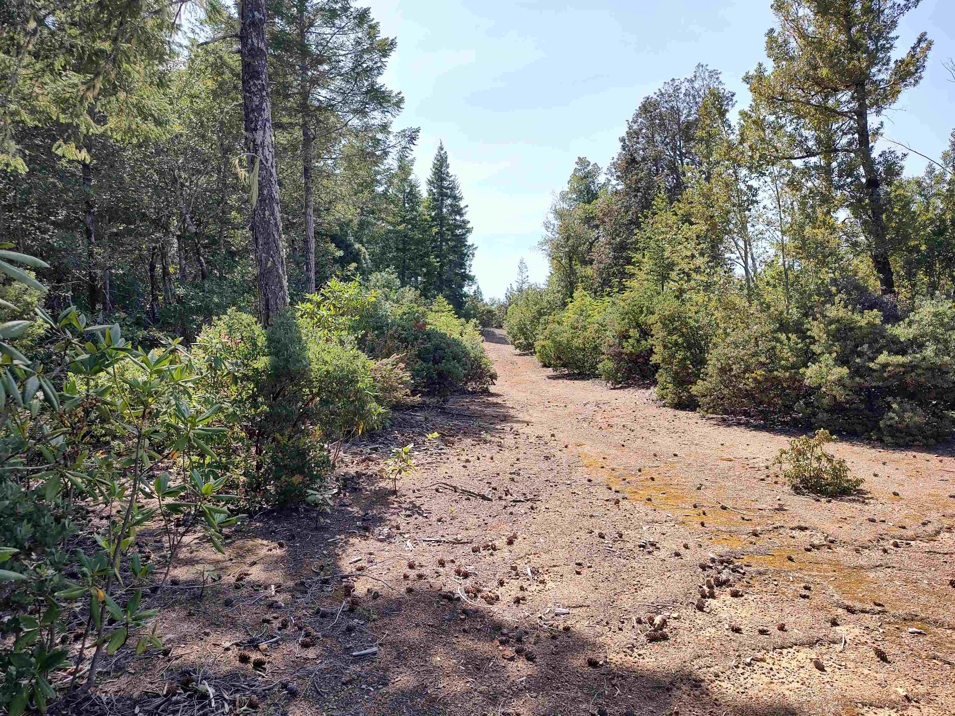 000 High Mountain Road