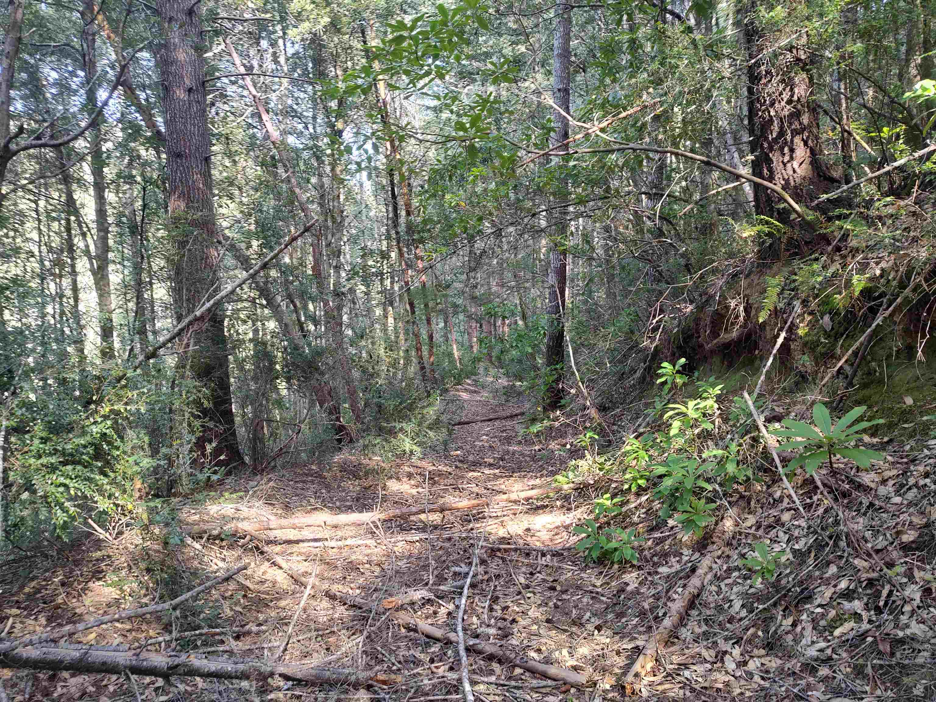 000 High Mountain Road