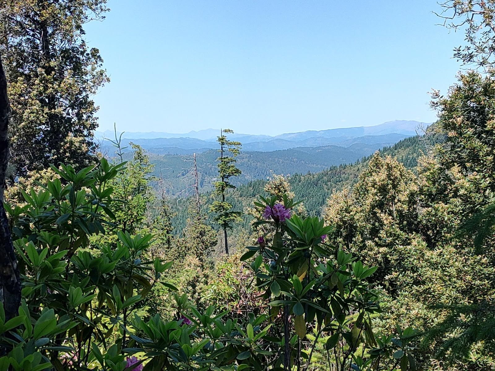 000 High Mountain Road