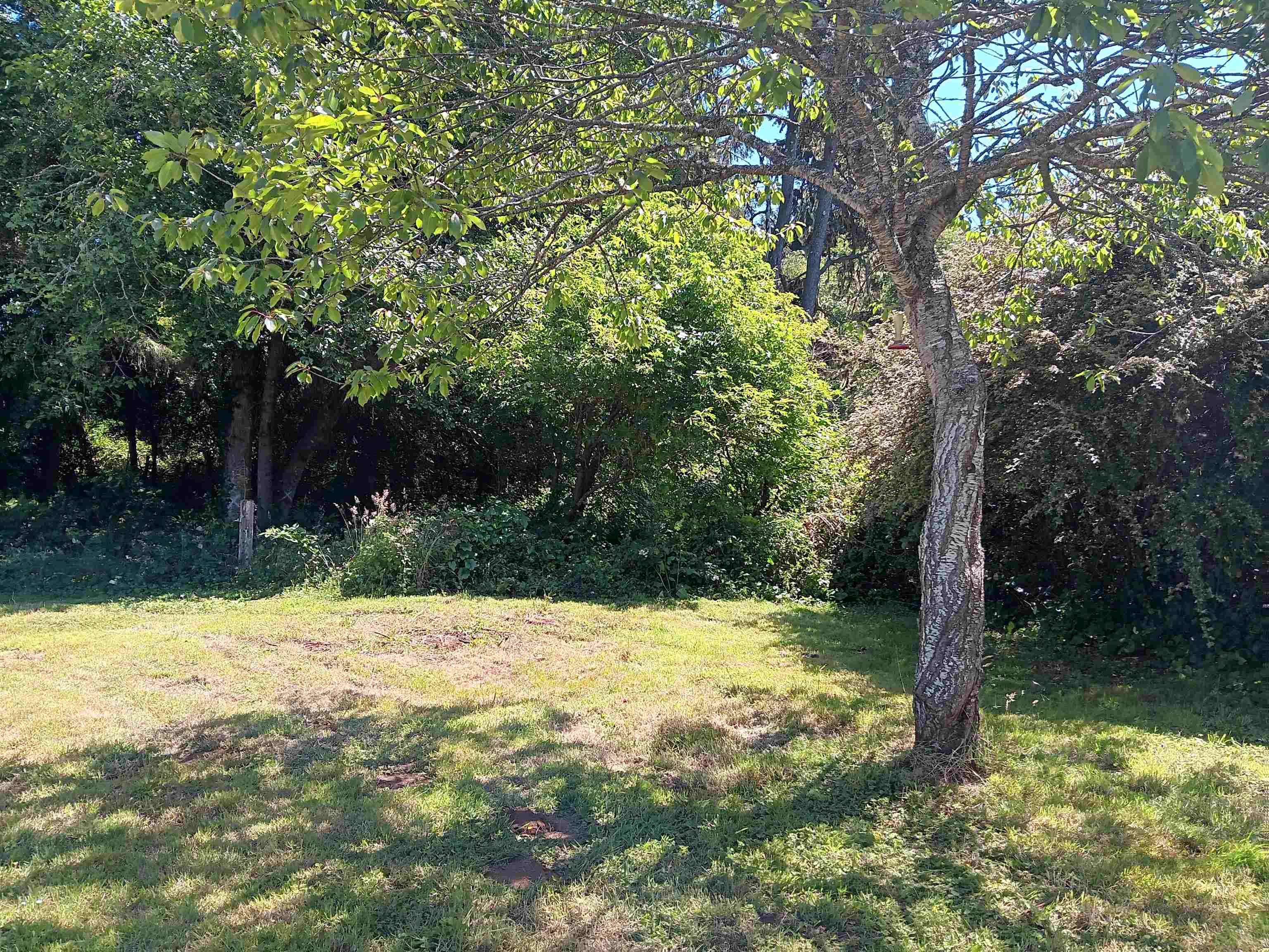 573 Elk Valley